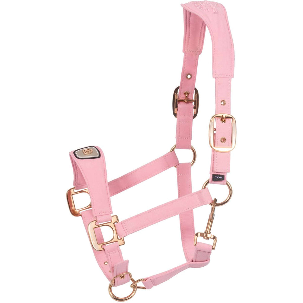 Cavallo Halster CavalPawel Powder Pink