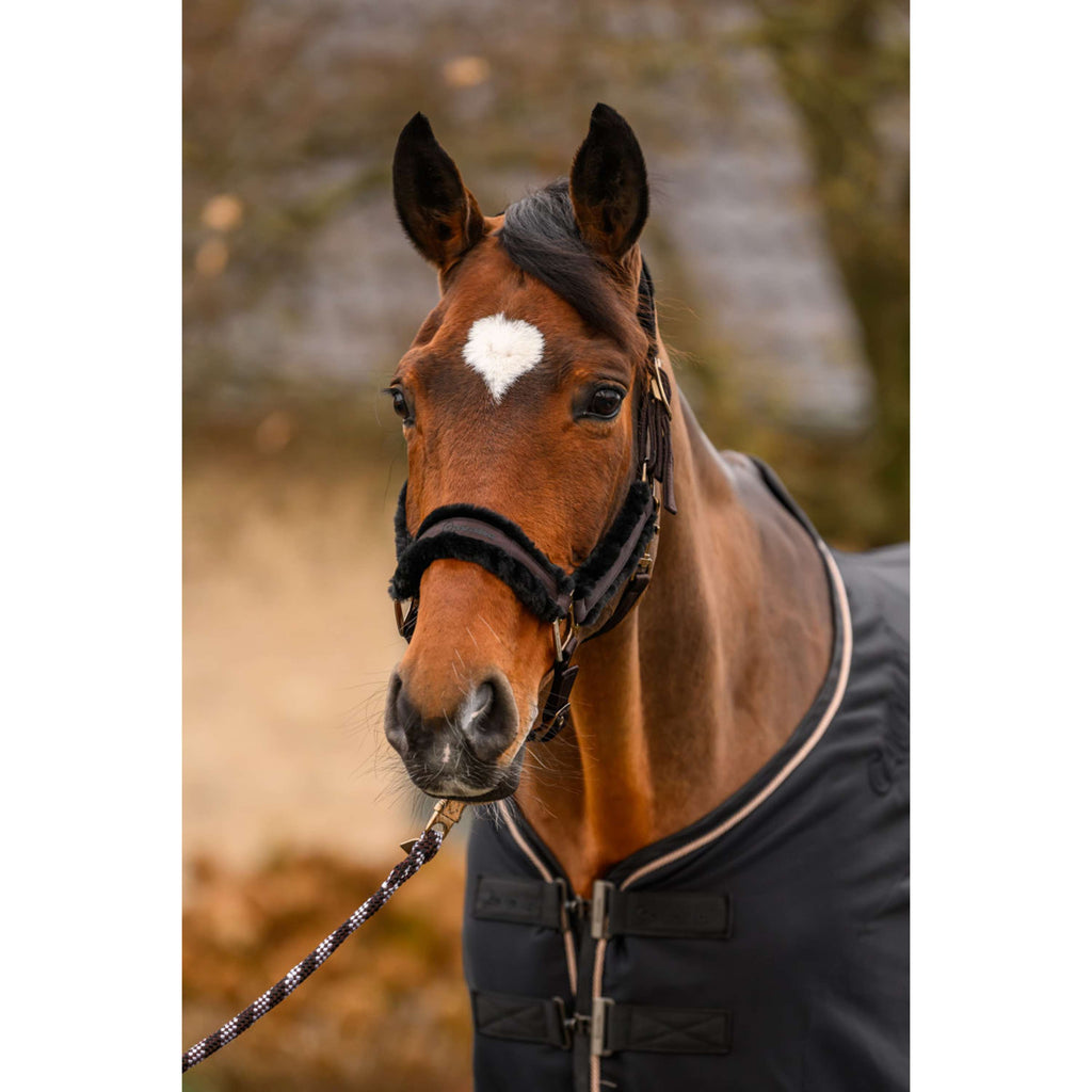 Cavallo Halster CavalJero met Bont Café Noir