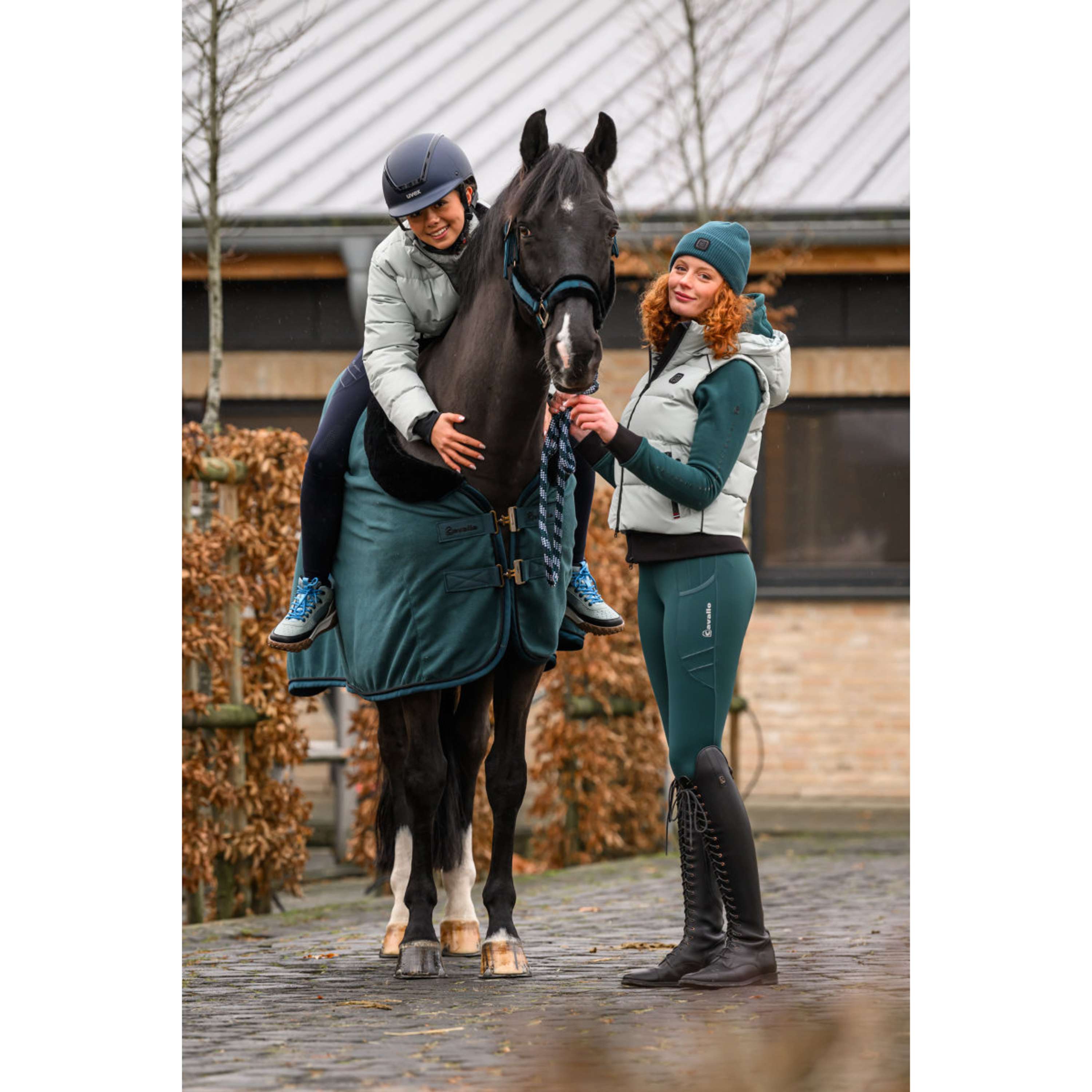 Cavallo Halster CavalJero met Bont Dark Peacock