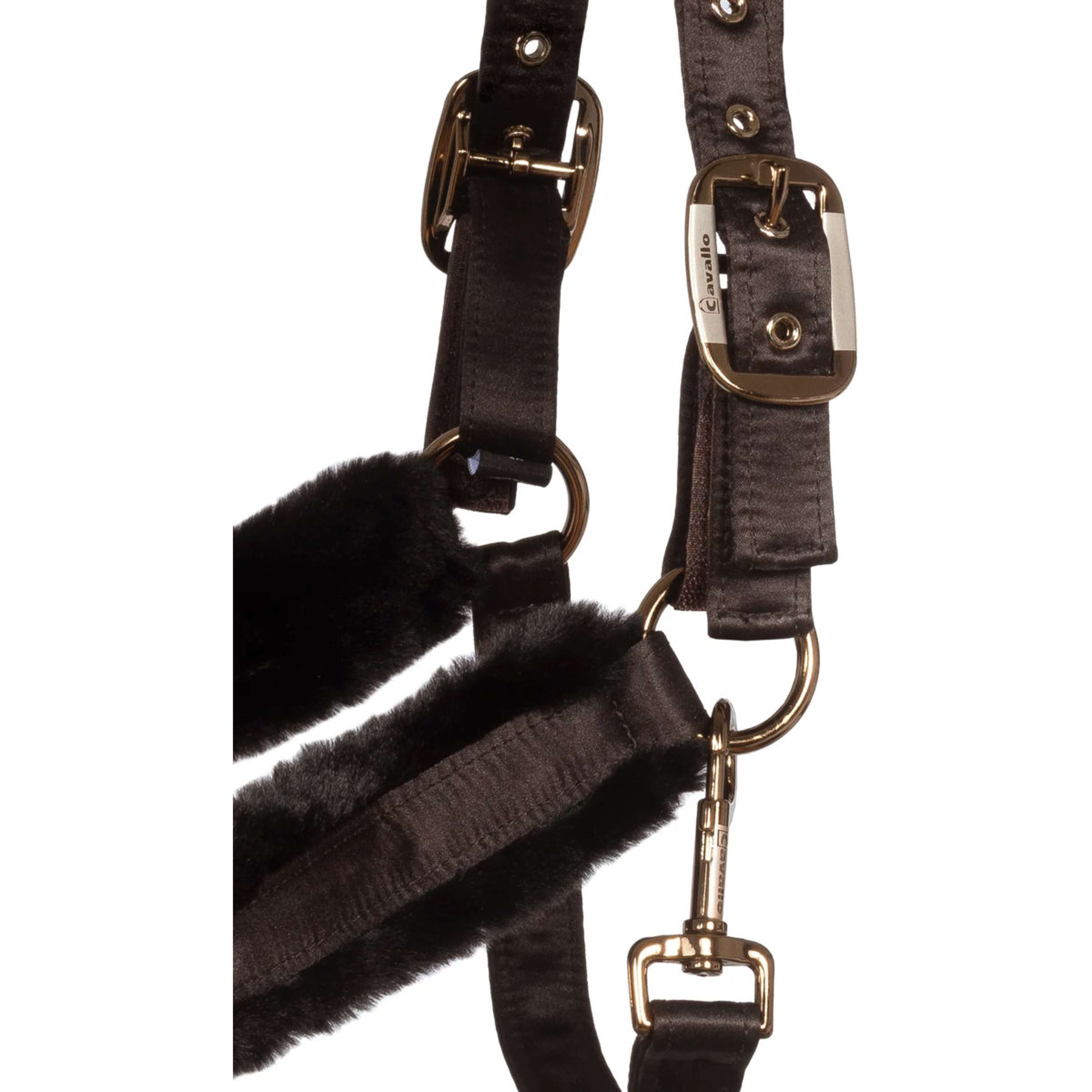 Cavallo Halster CavalJero met Bont Café Noir