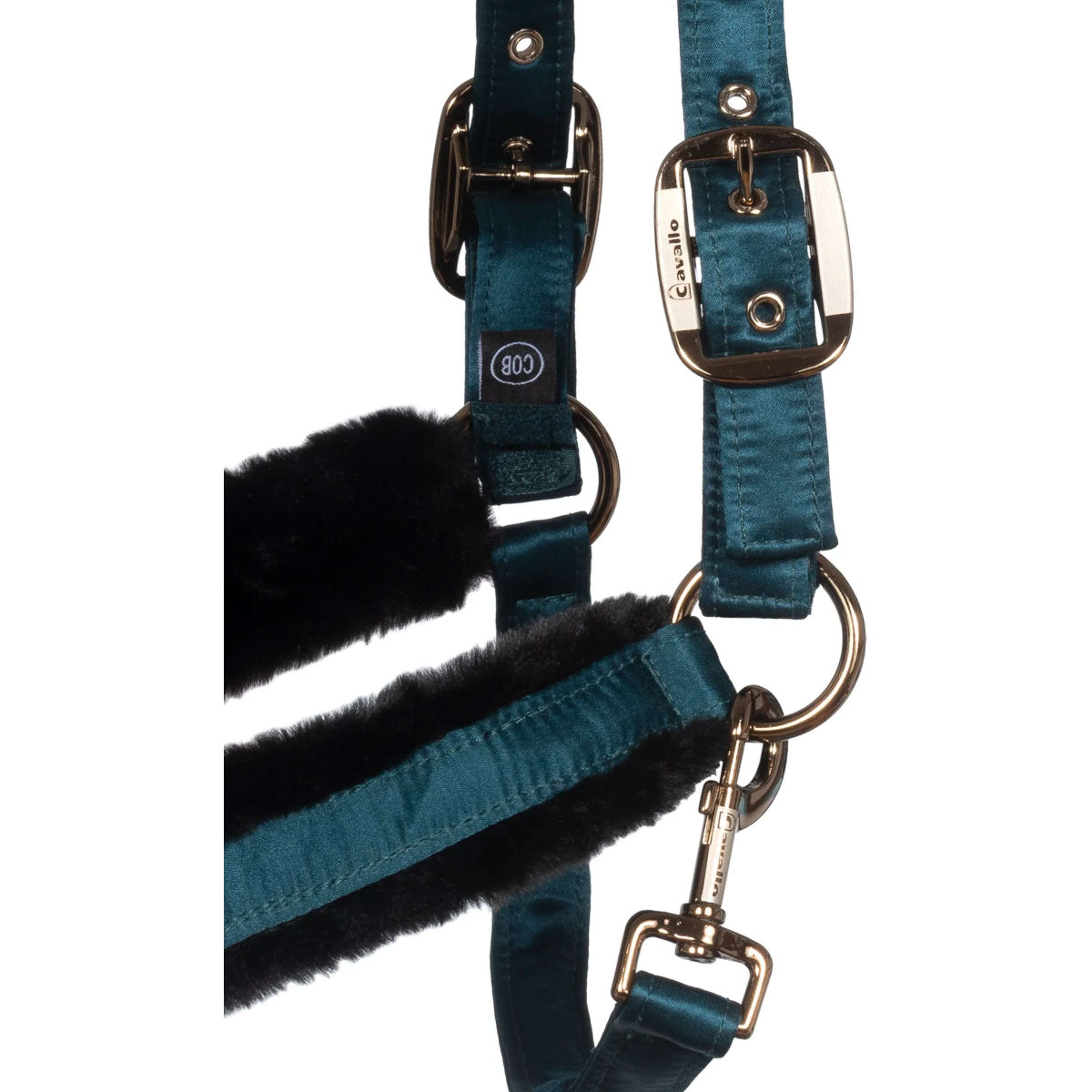 Cavallo Halster CavalJero met Bont Dark Peacock