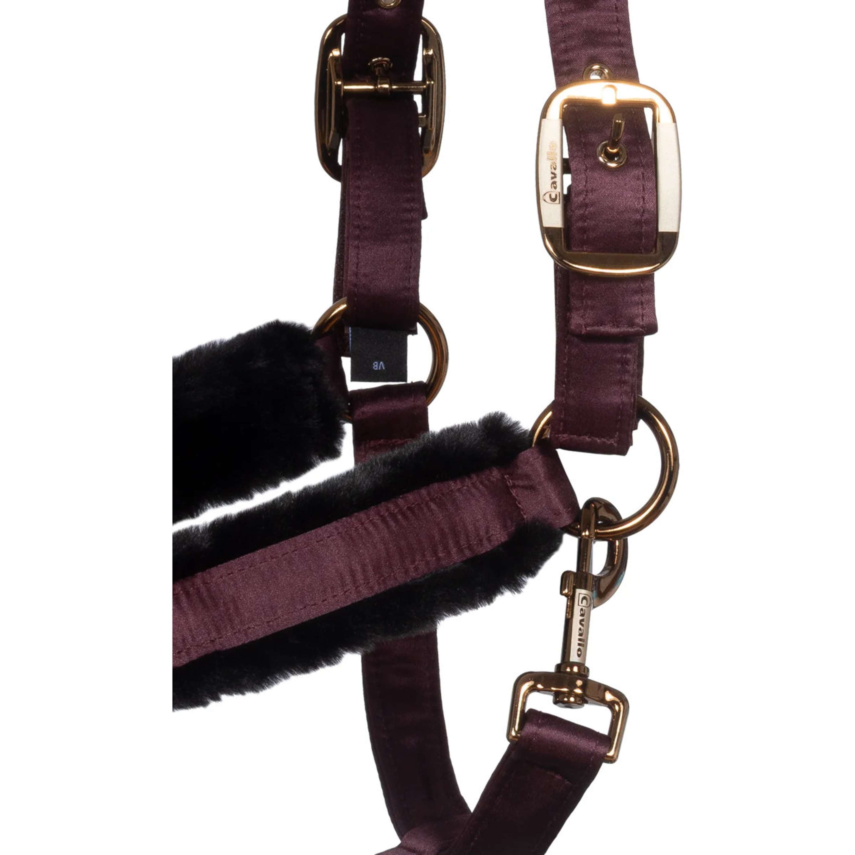 Cavallo Halster CavalJero met Bont Dusty Plum