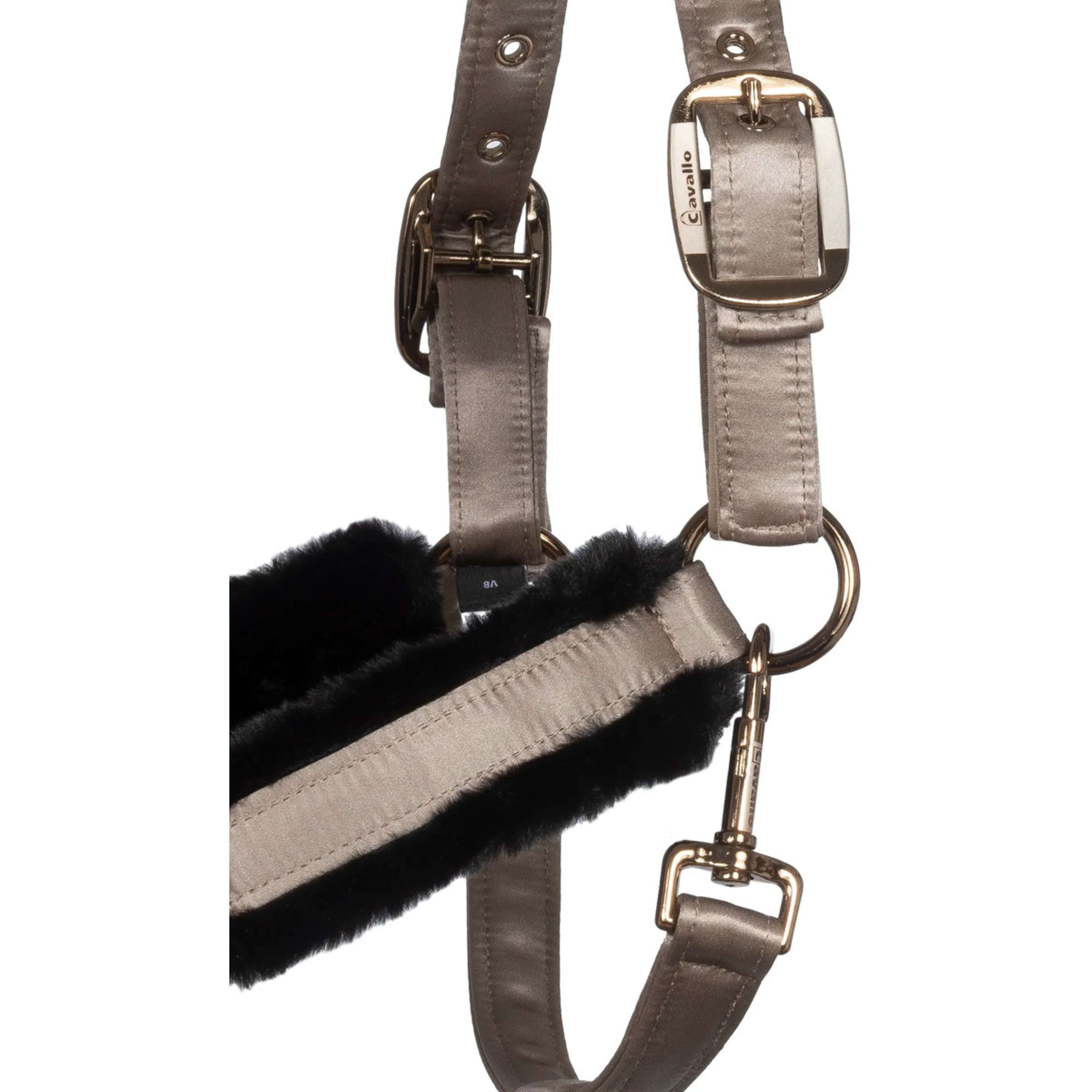 Cavallo Halster CavalJero met Bont Latte