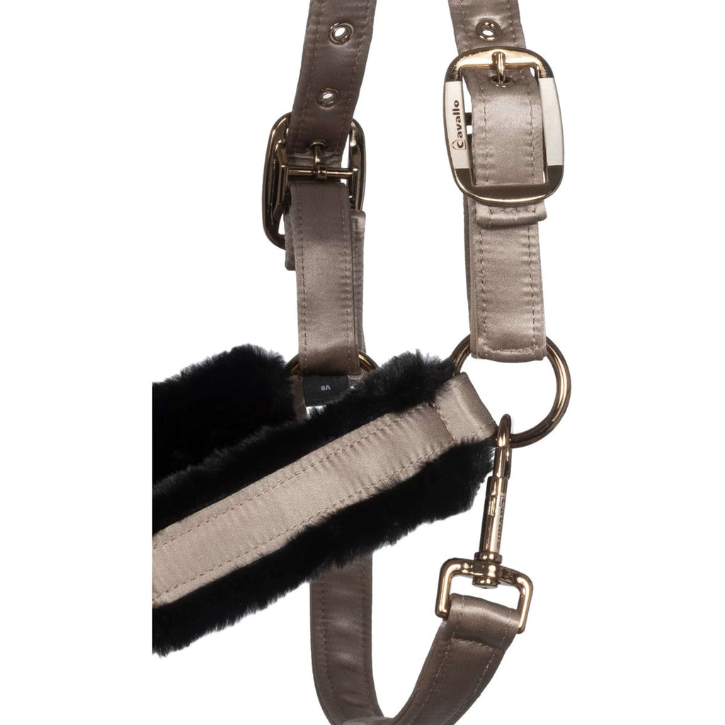 Cavallo Halster CavalJero met Bont Latte