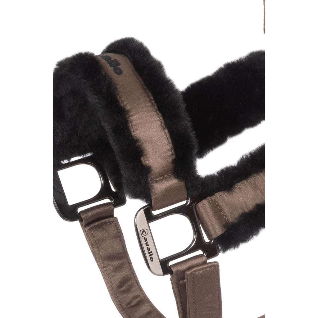 Cavallo Halster CavalJero Mocha Latte