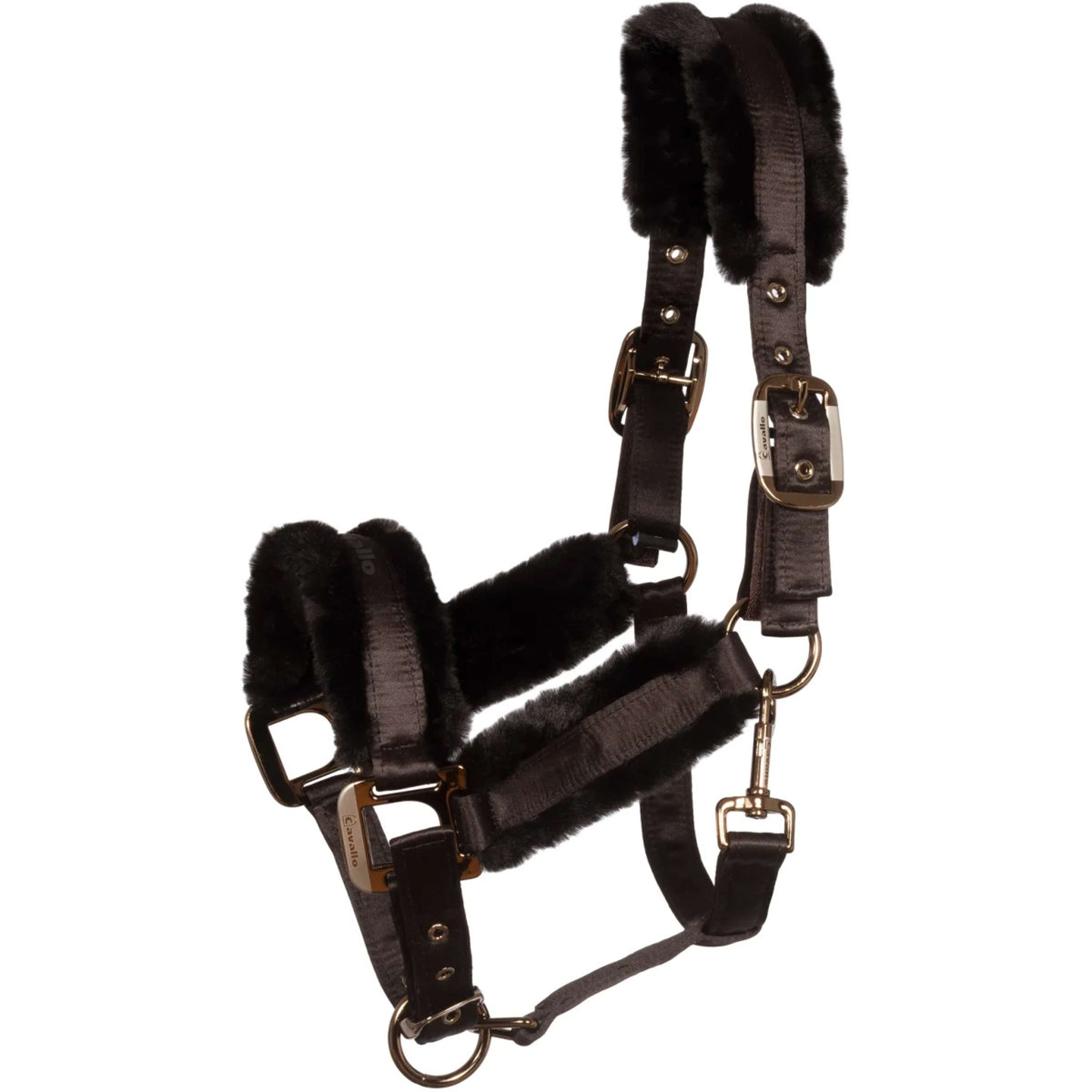 Cavallo Halster CavalJero met Bont Café Noir