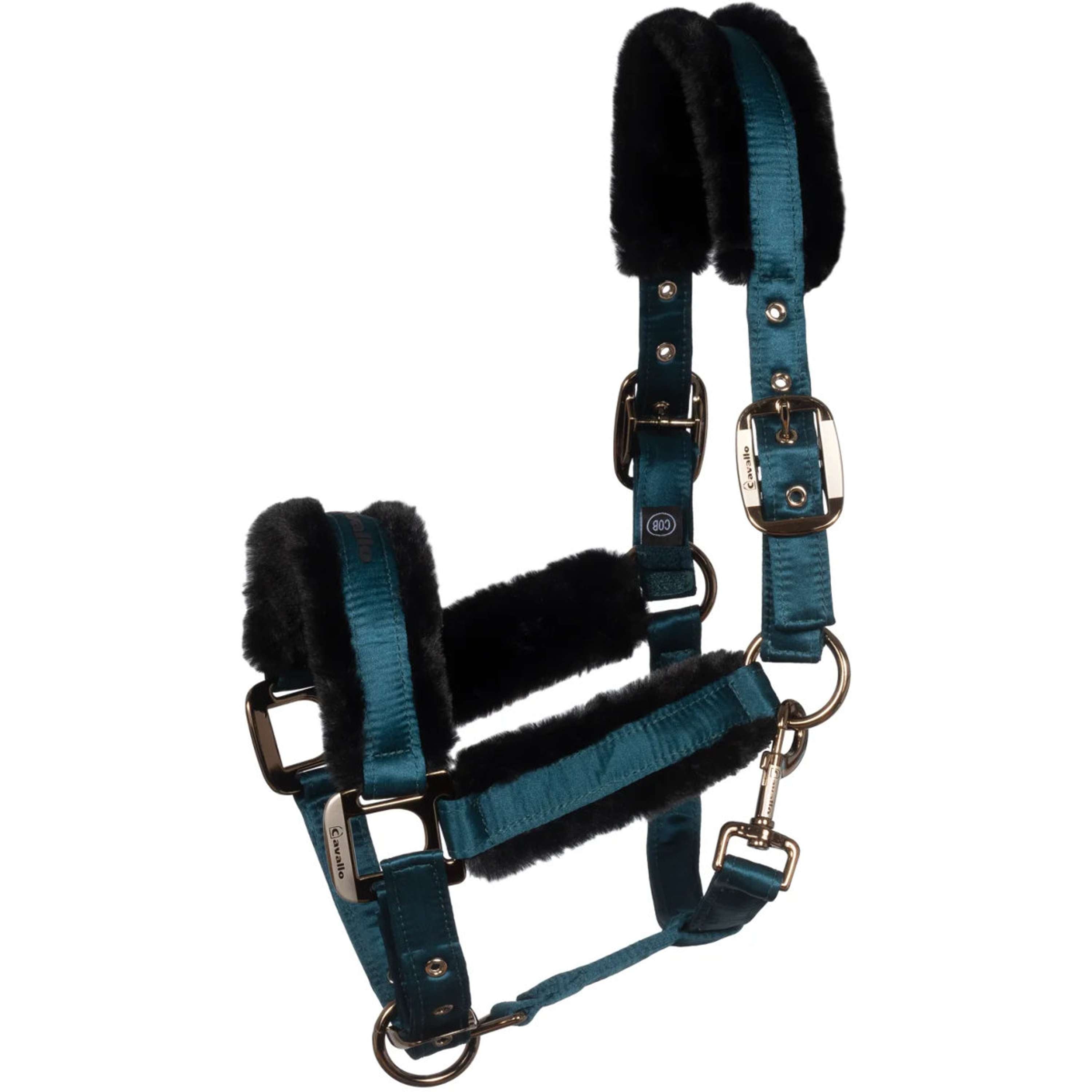 Cavallo Halster CavalJero met Bont Dark Peacock