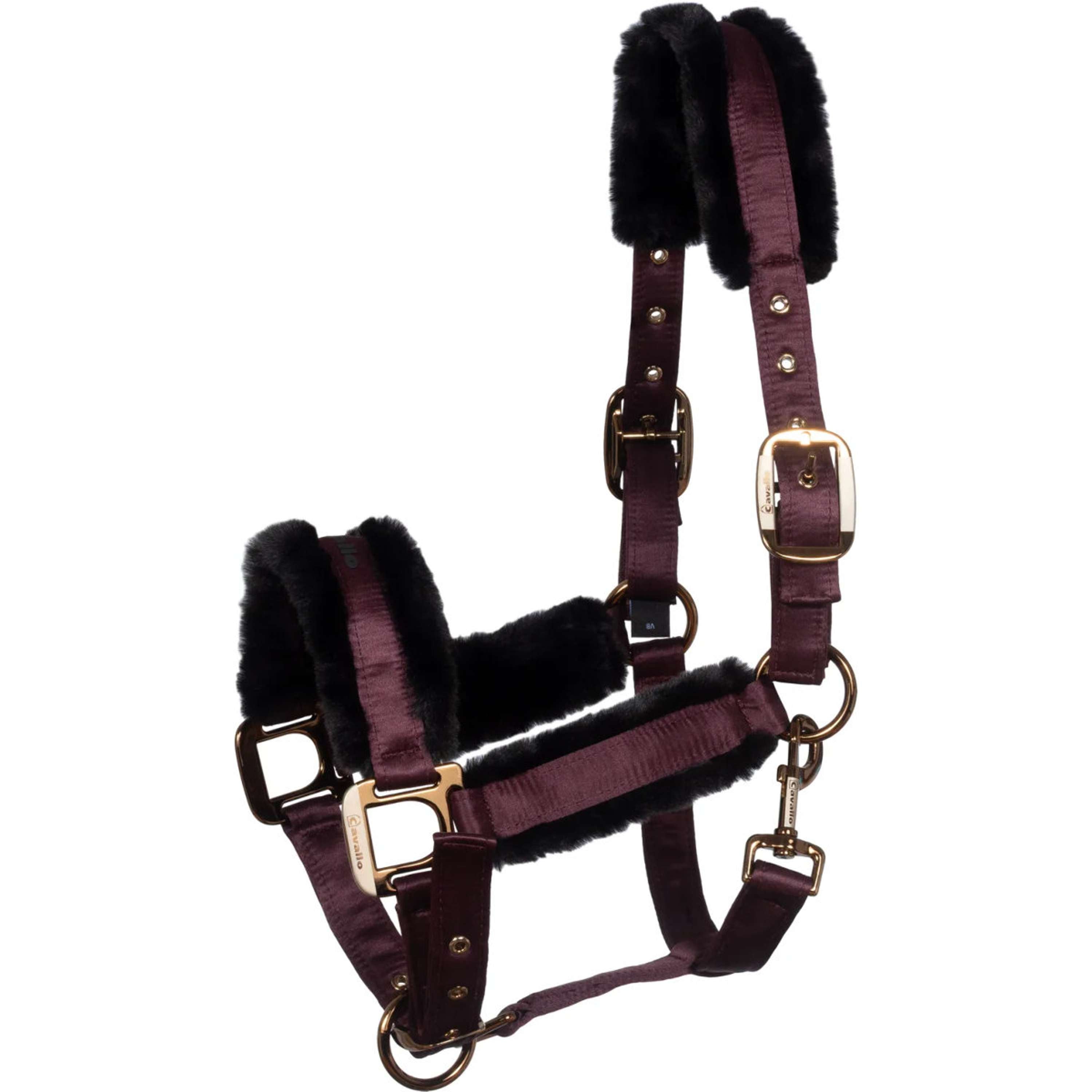 Cavallo Halster CavalJero met Bont Dusty Plum
