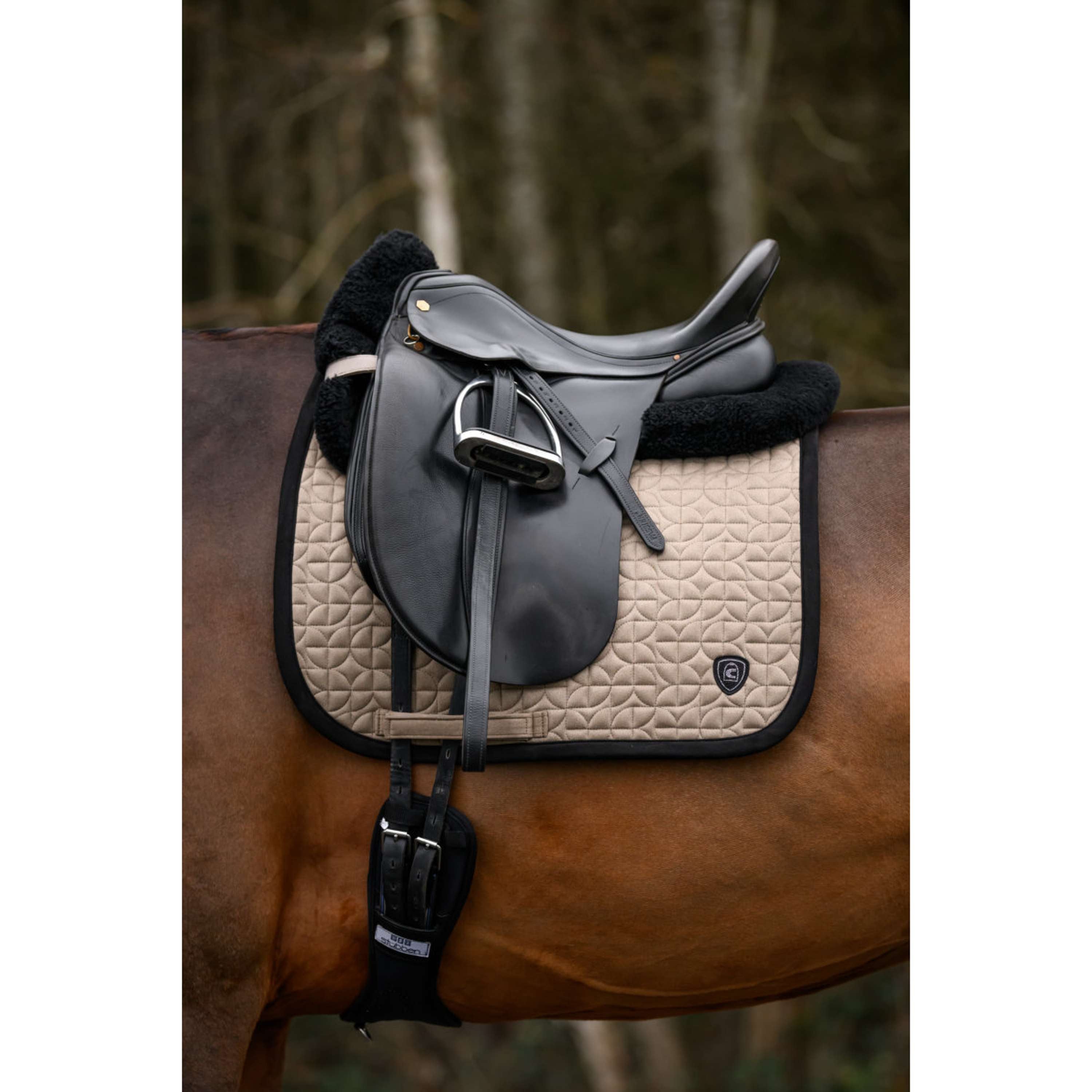 Cavallo Zadeldekje CavalRory Dressuur Latte