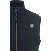Cavallo Jack CavalBay Darkblue