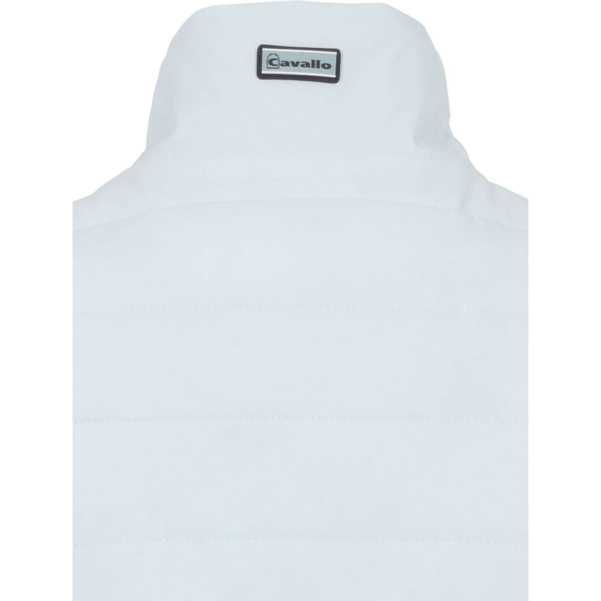 Cavallo Jack CavalBay Crystal Blue