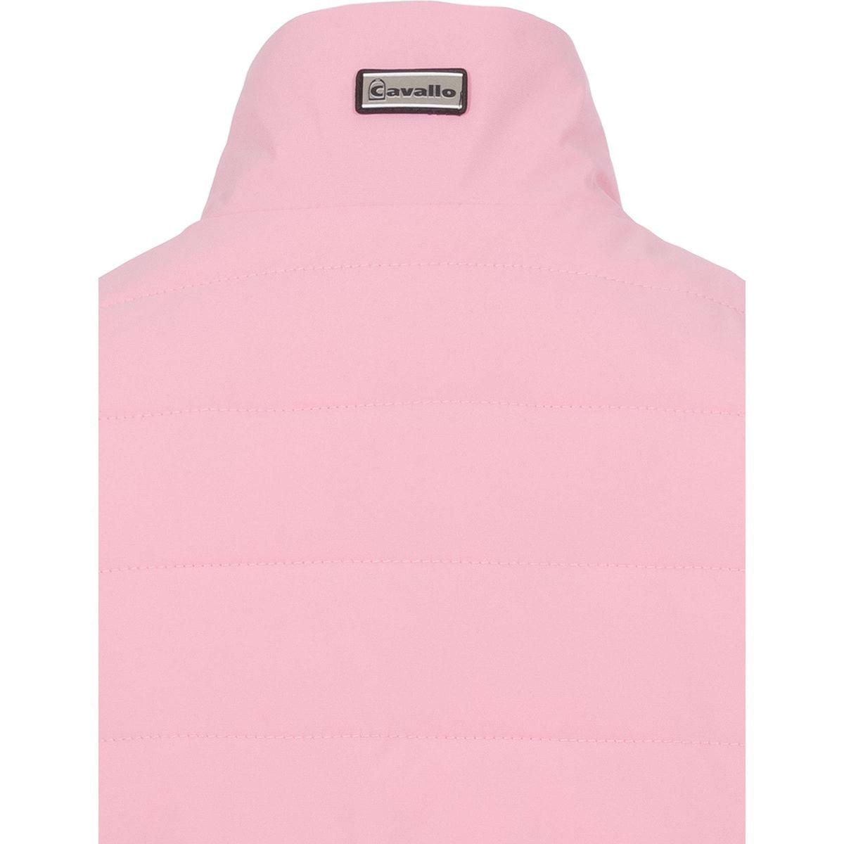 Cavallo Jack CavalBay Powder Pink