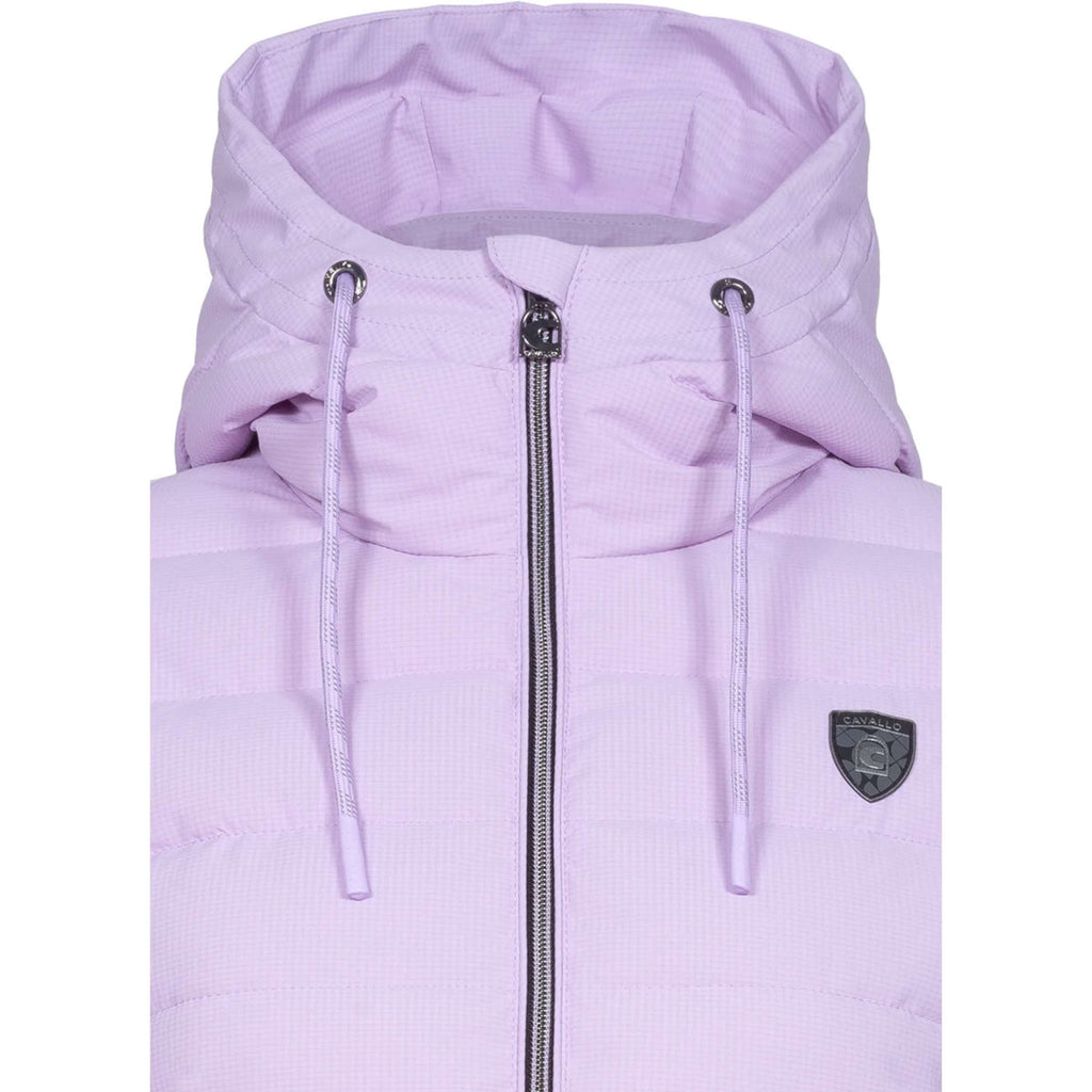 Cavallo Jas CavalDanet Iced Lilac