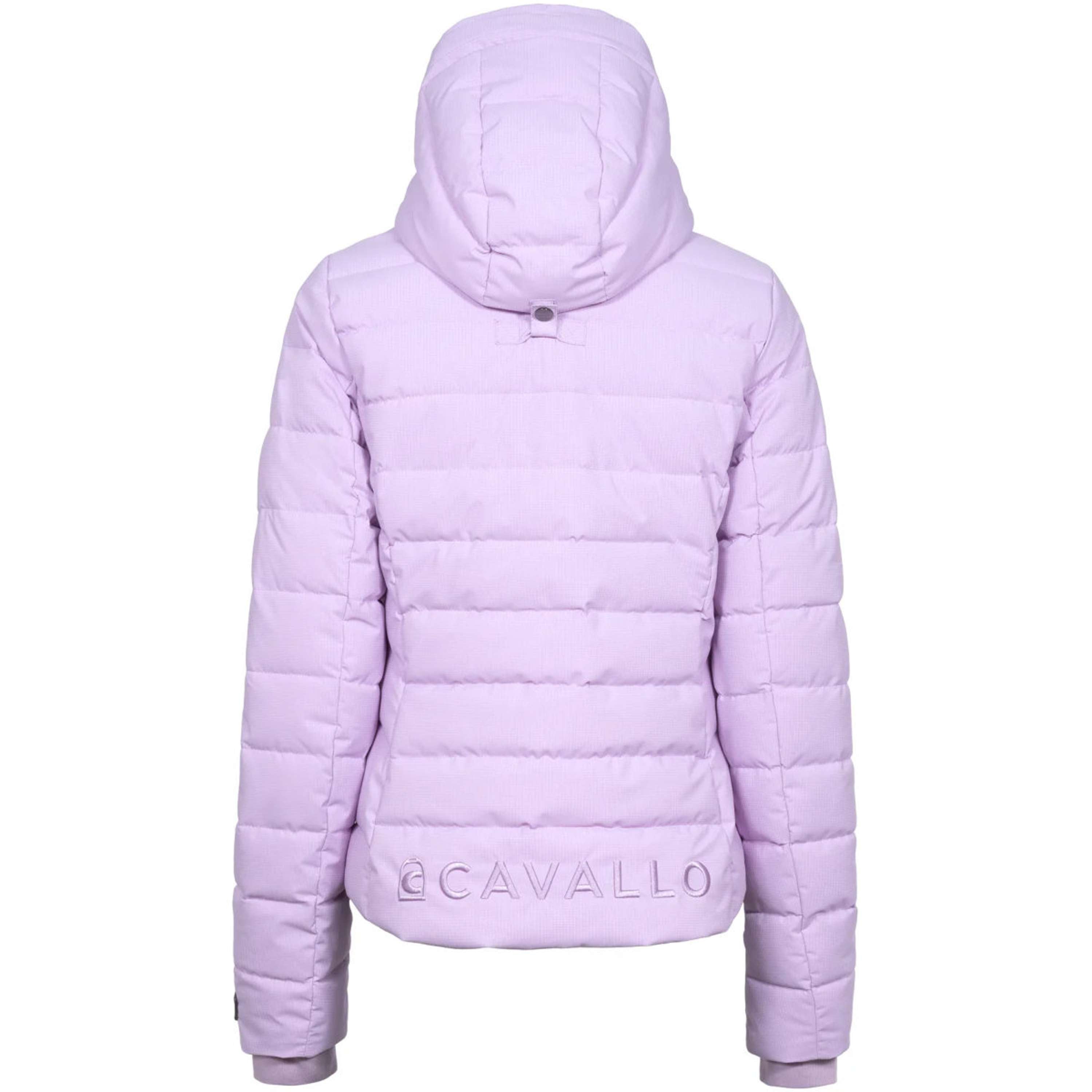 Cavallo Jas CavalDanet Iced Lilac