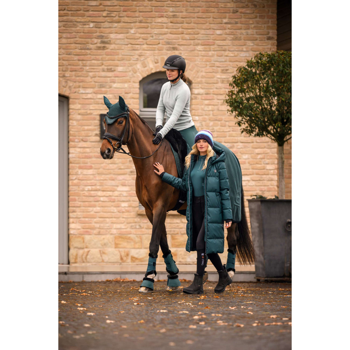 Cavallo Lange Jas CavalDaly Dark Peacock