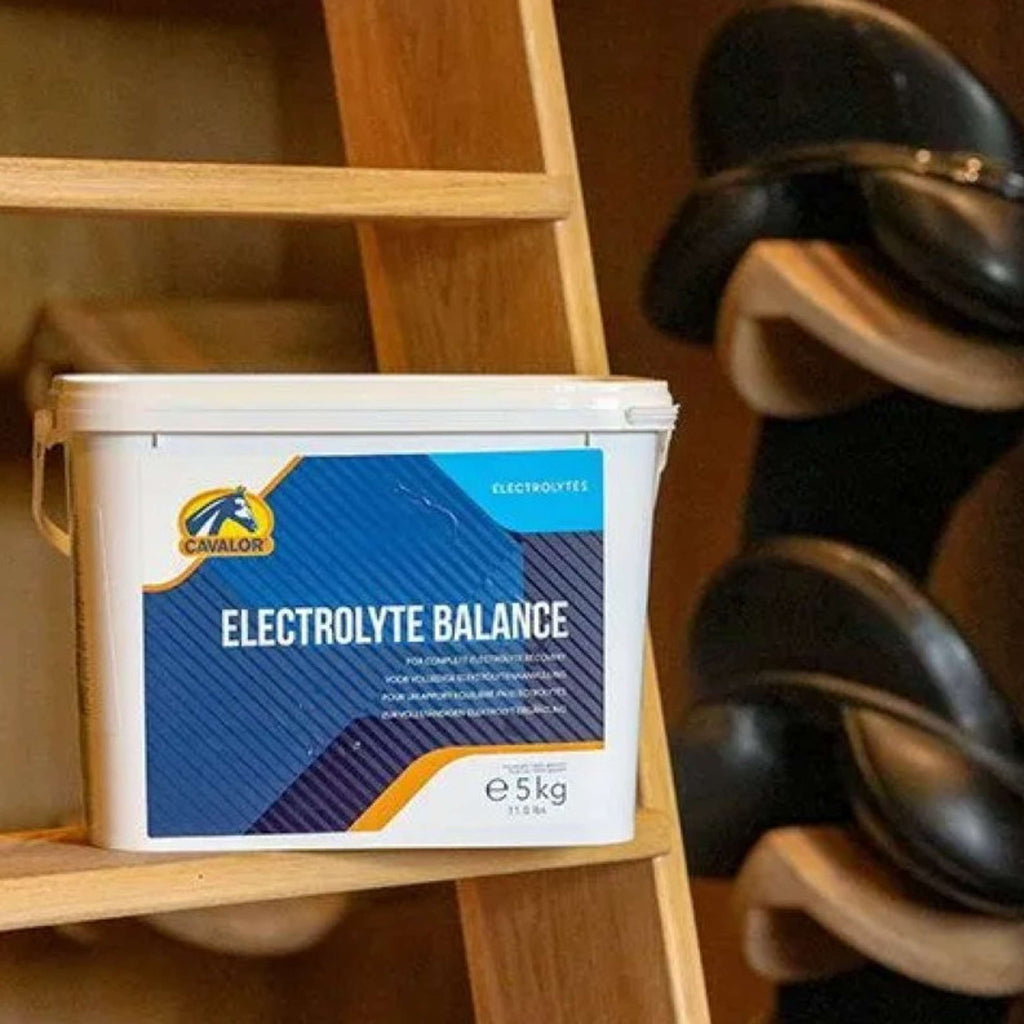 Cavalor Electrolyte Balance