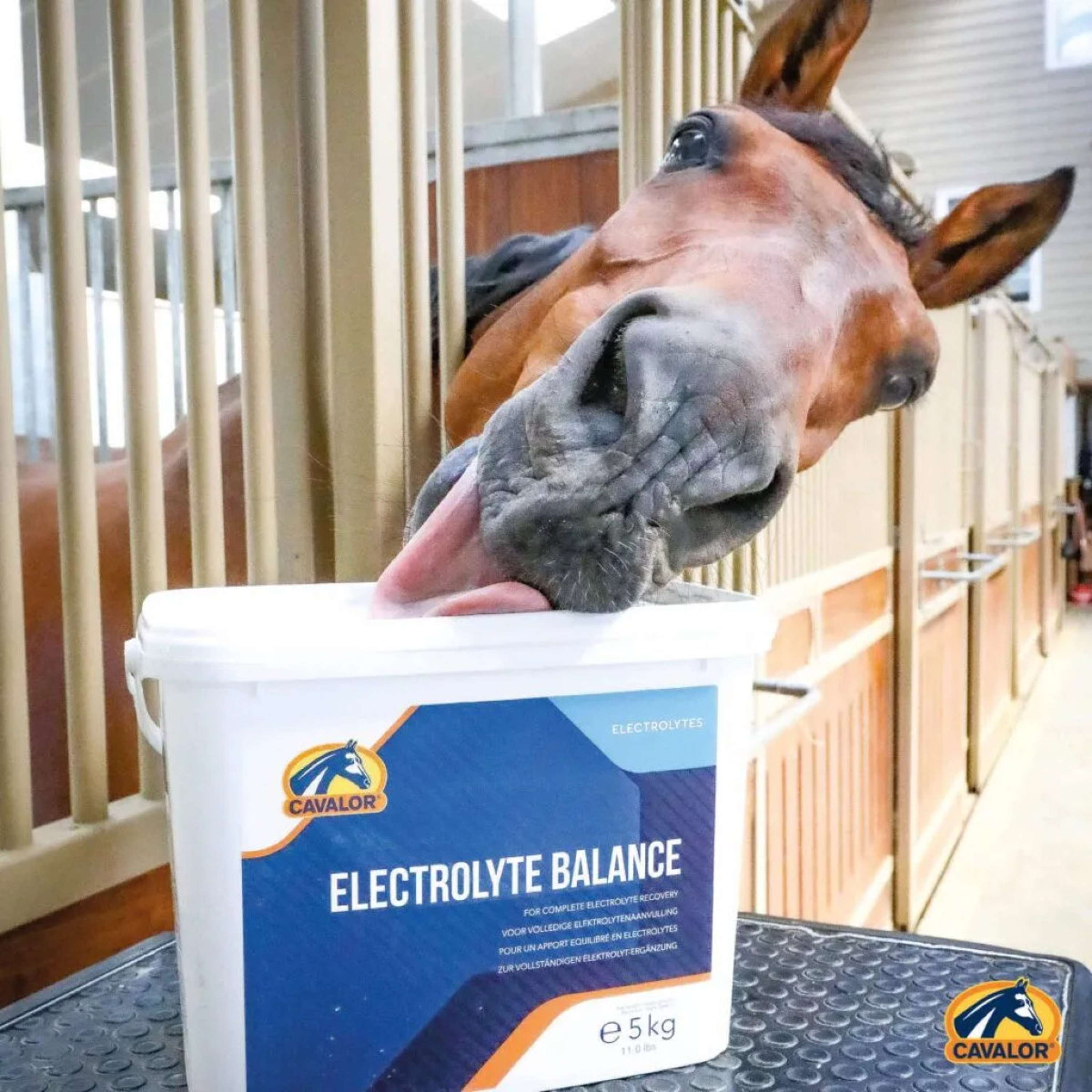 Cavalor Electrolyte Balance