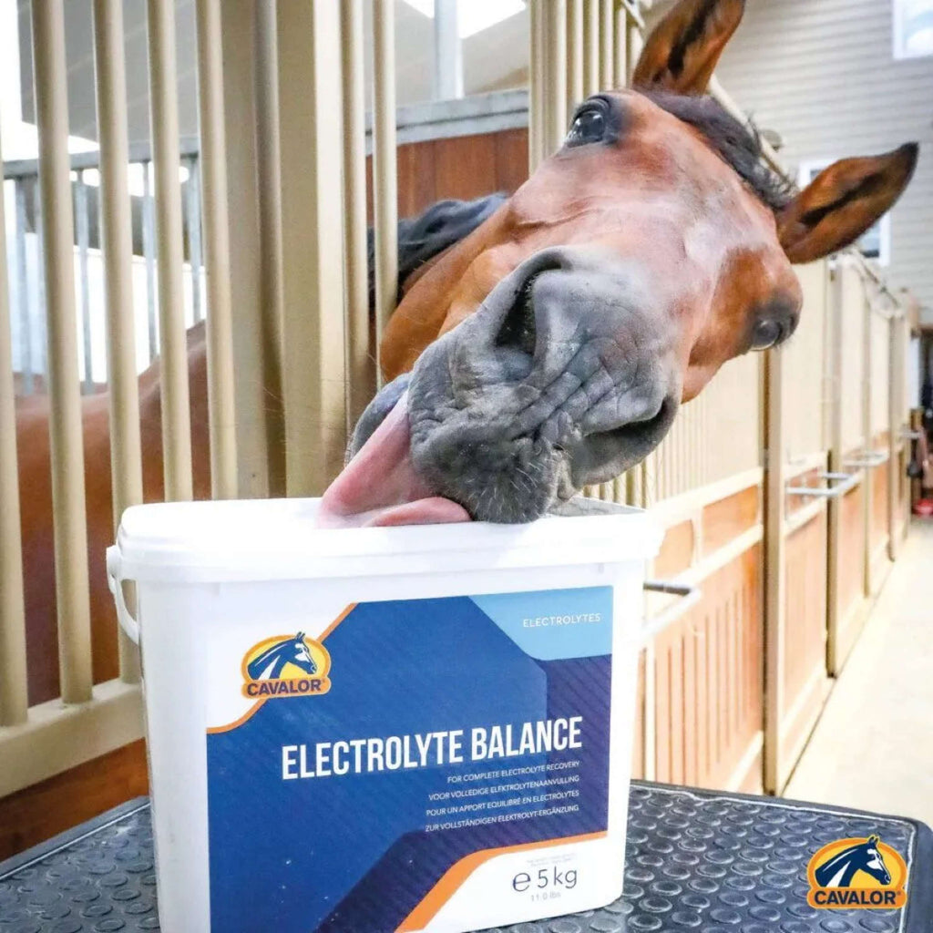 Cavalor Electrolyte Balance