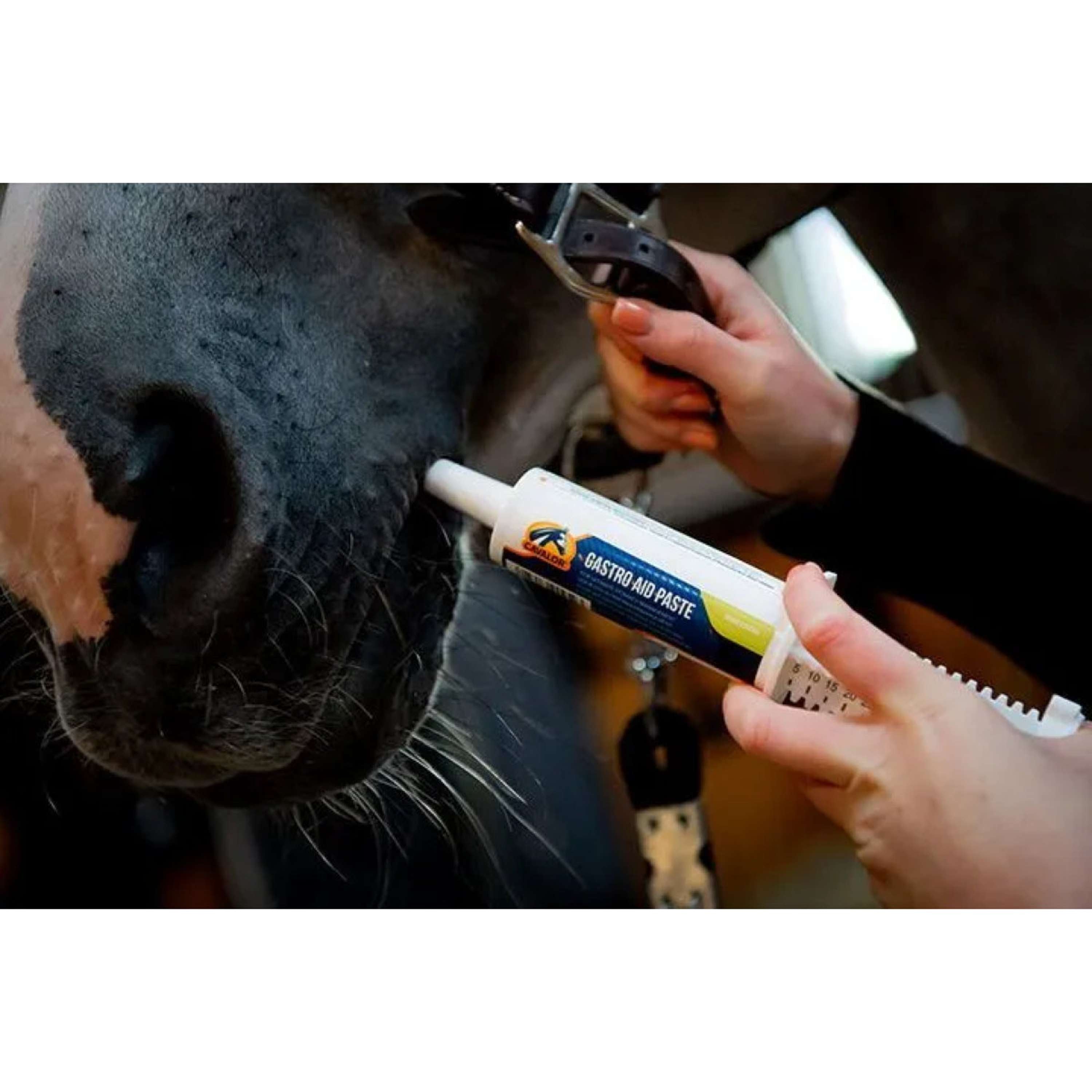 Cavalor Gastro 8 Paste