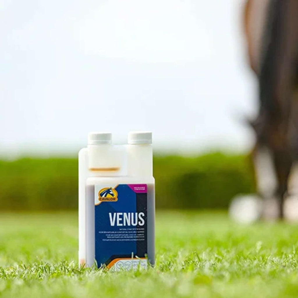Cavalor Venus