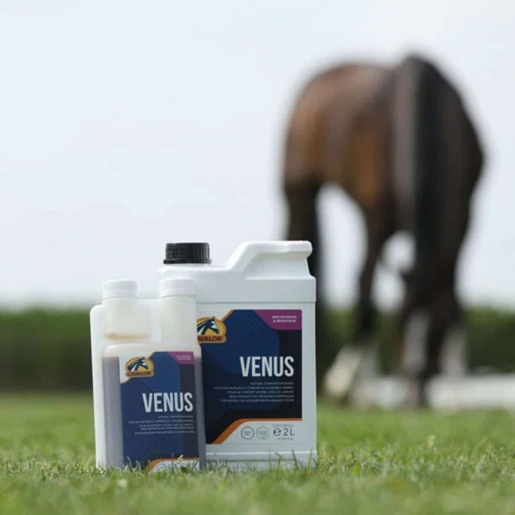 Cavalor Venus