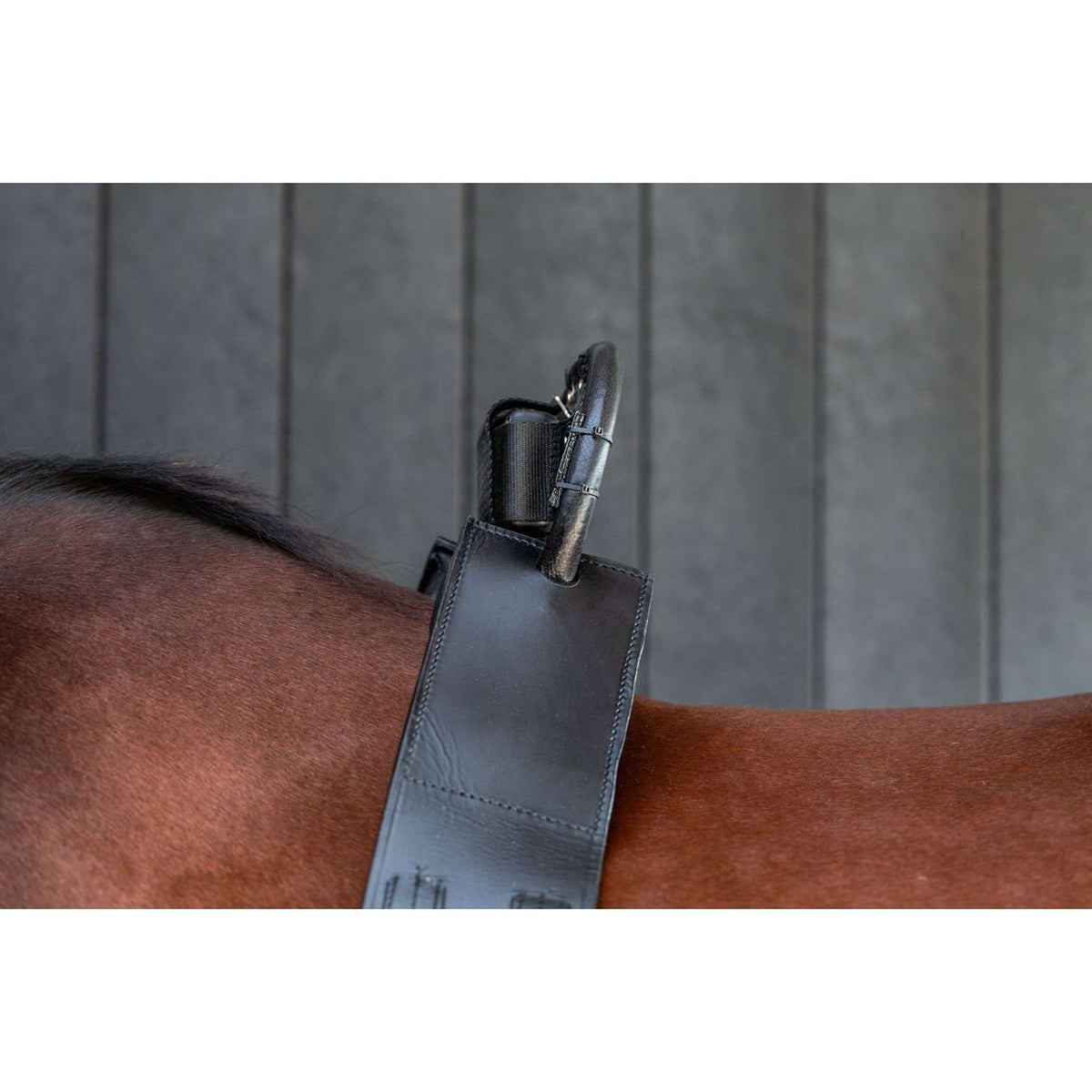 Birth Alarm Classic Compleet incl. Anti-Rolsingel