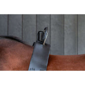 Birth Alarm Classic Compleet incl. Anti-Rolsingel