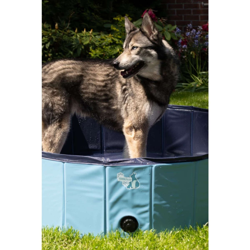 Coolpets Zwembad