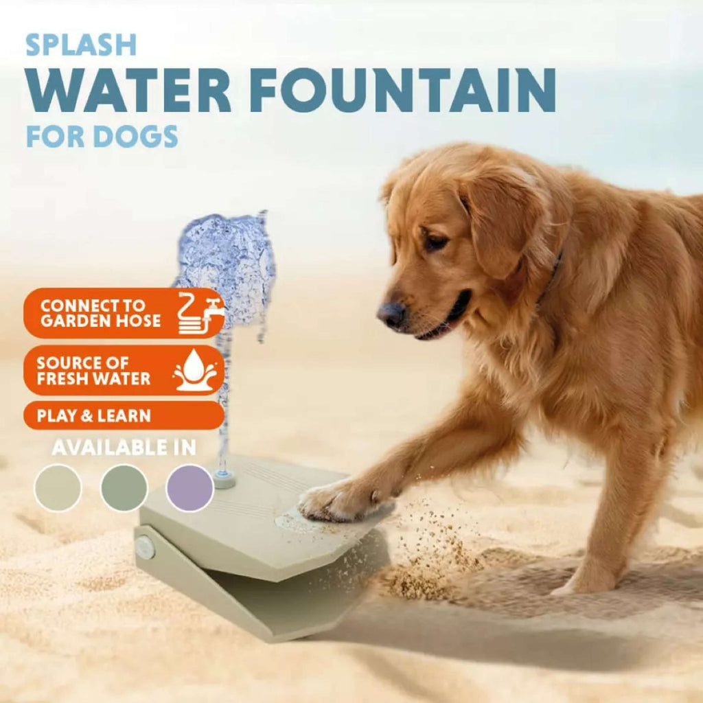 CoolPets Fontein Splash Aqua Olijfgroen