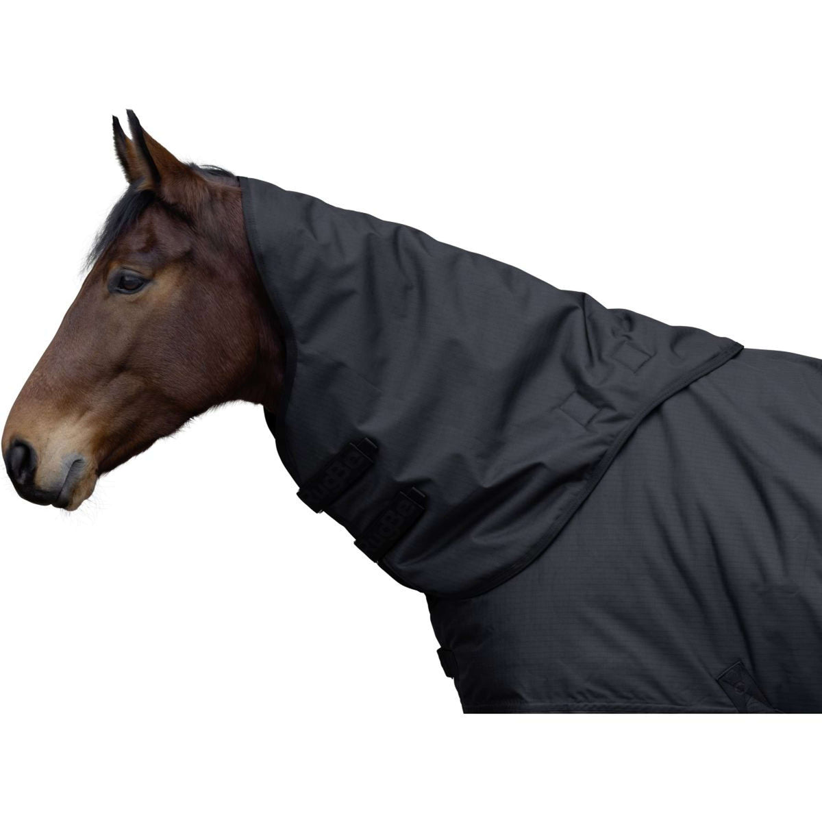 RugBe by Covalliero Halsstuk AW25 100g Zwart