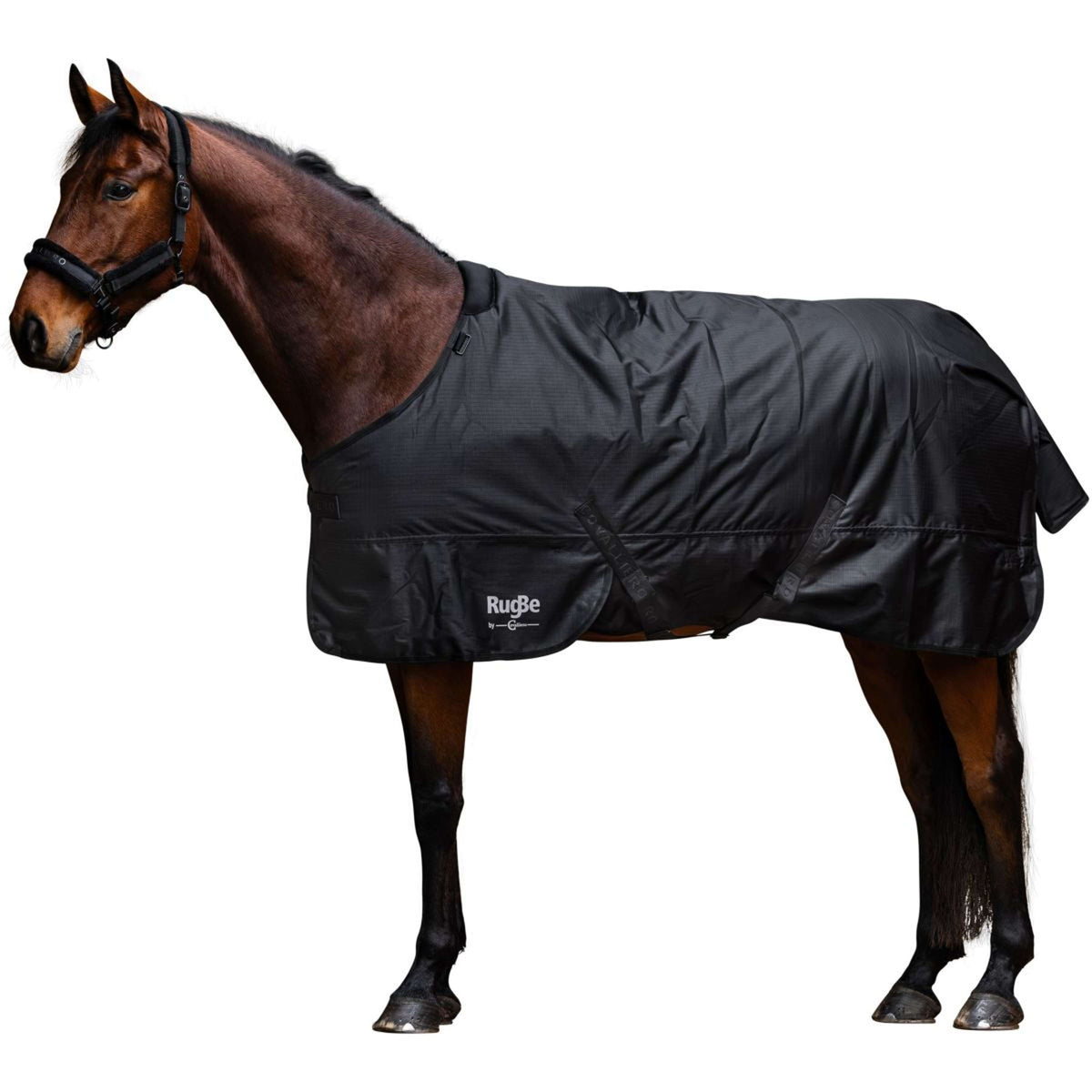 RugBe by Covalliero Winterdeken AW25 300g Zwart