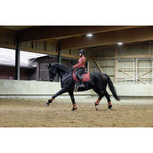 Covalliero Beenbeschermers AW25 Rust