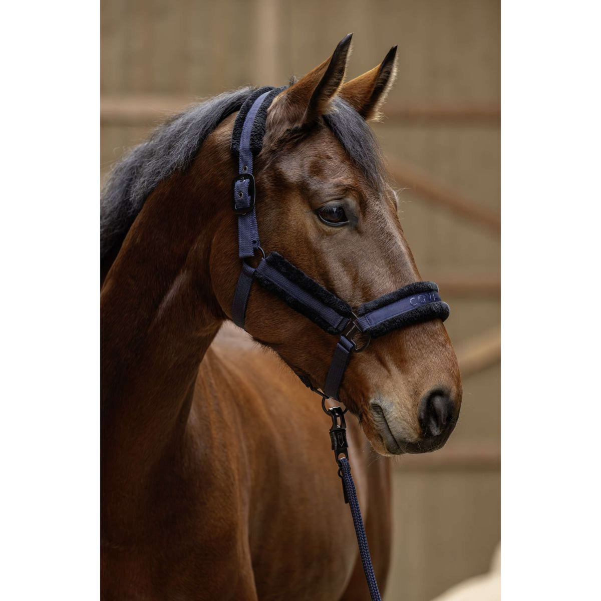 Covalliero Halster AW25 Dark Navy