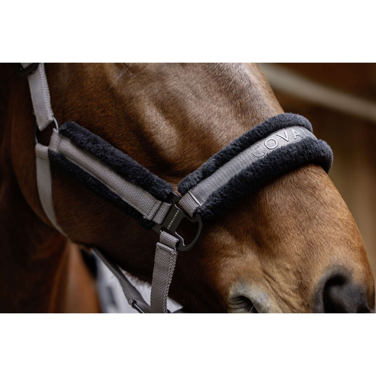 Covalliero Halster AW25 Steel Grey