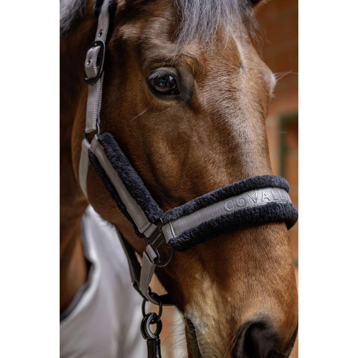 Covalliero Halster AW25 Steel Grey