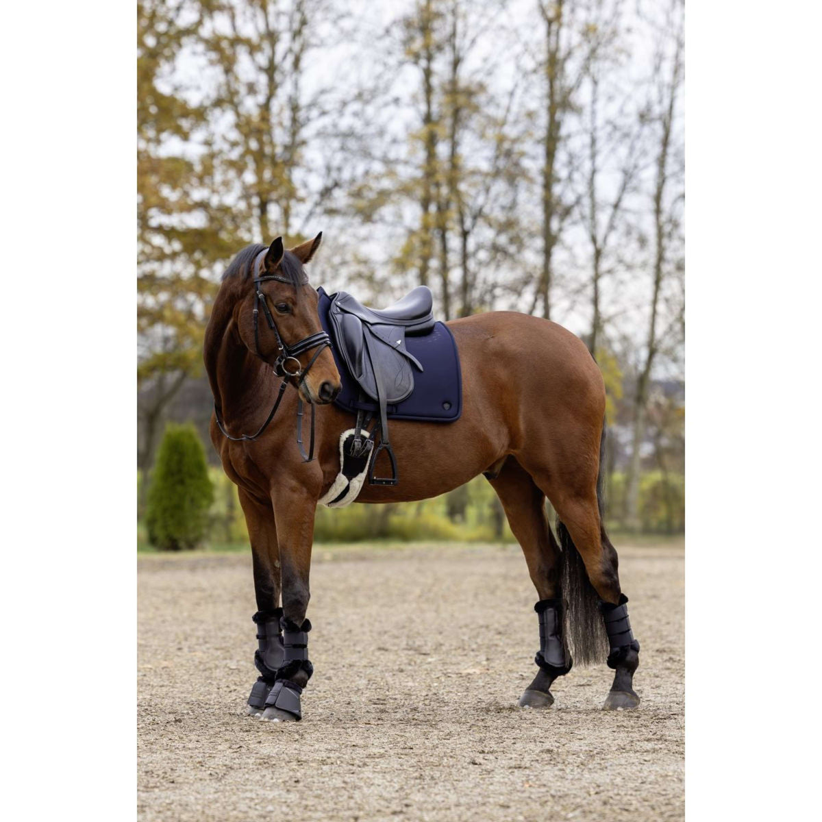 Covalliero Zadeldekje MemoryRide AW25 Dressuur Dark Navy