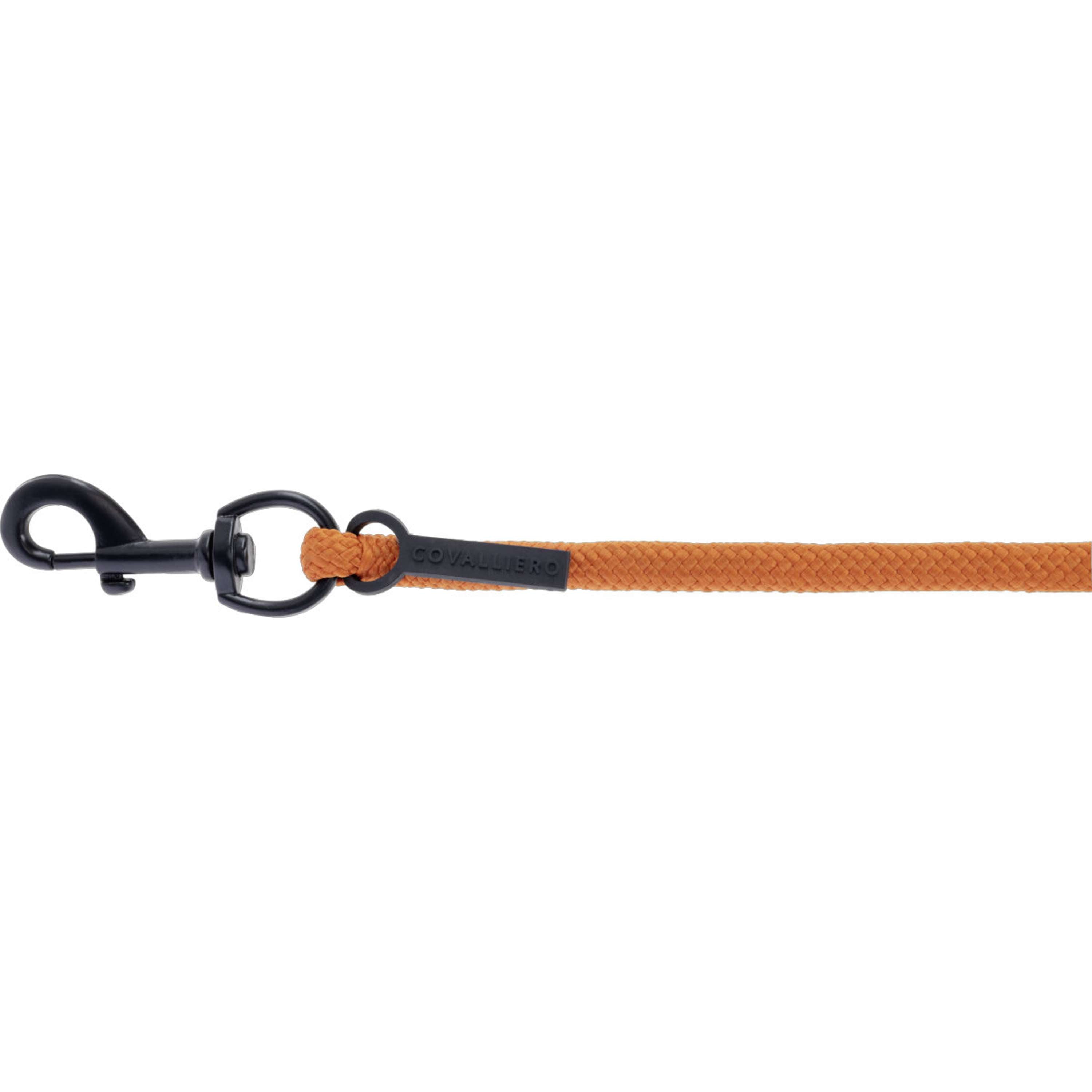 Covalliero Halstertouw AW26 met Musketonhaak Oranje