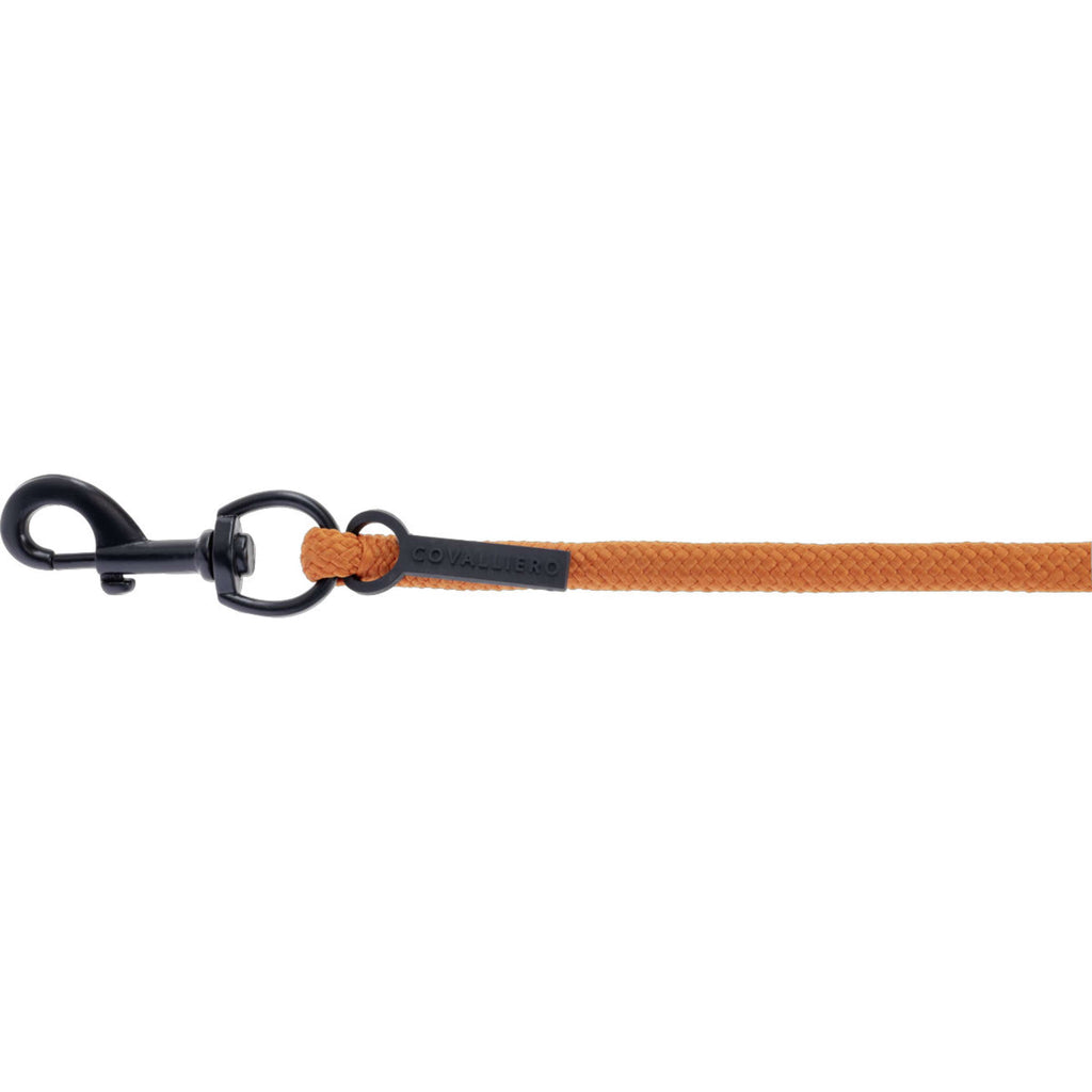 Covalliero Halstertouw AW26 met Musketonhaak Oranje