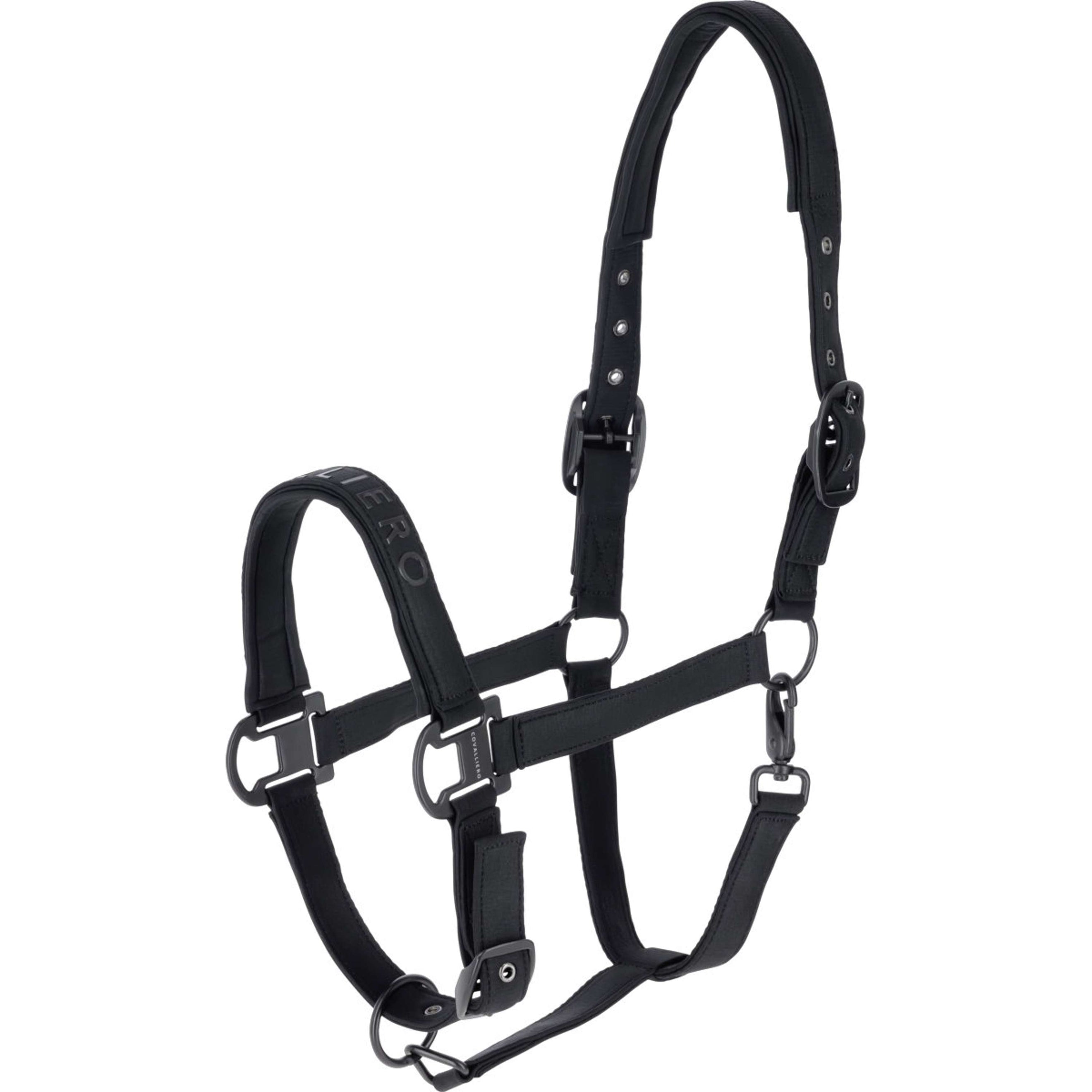 Covalliero Halster AW26 Zwart