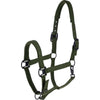 Covalliero Halster AW26 Forest Green