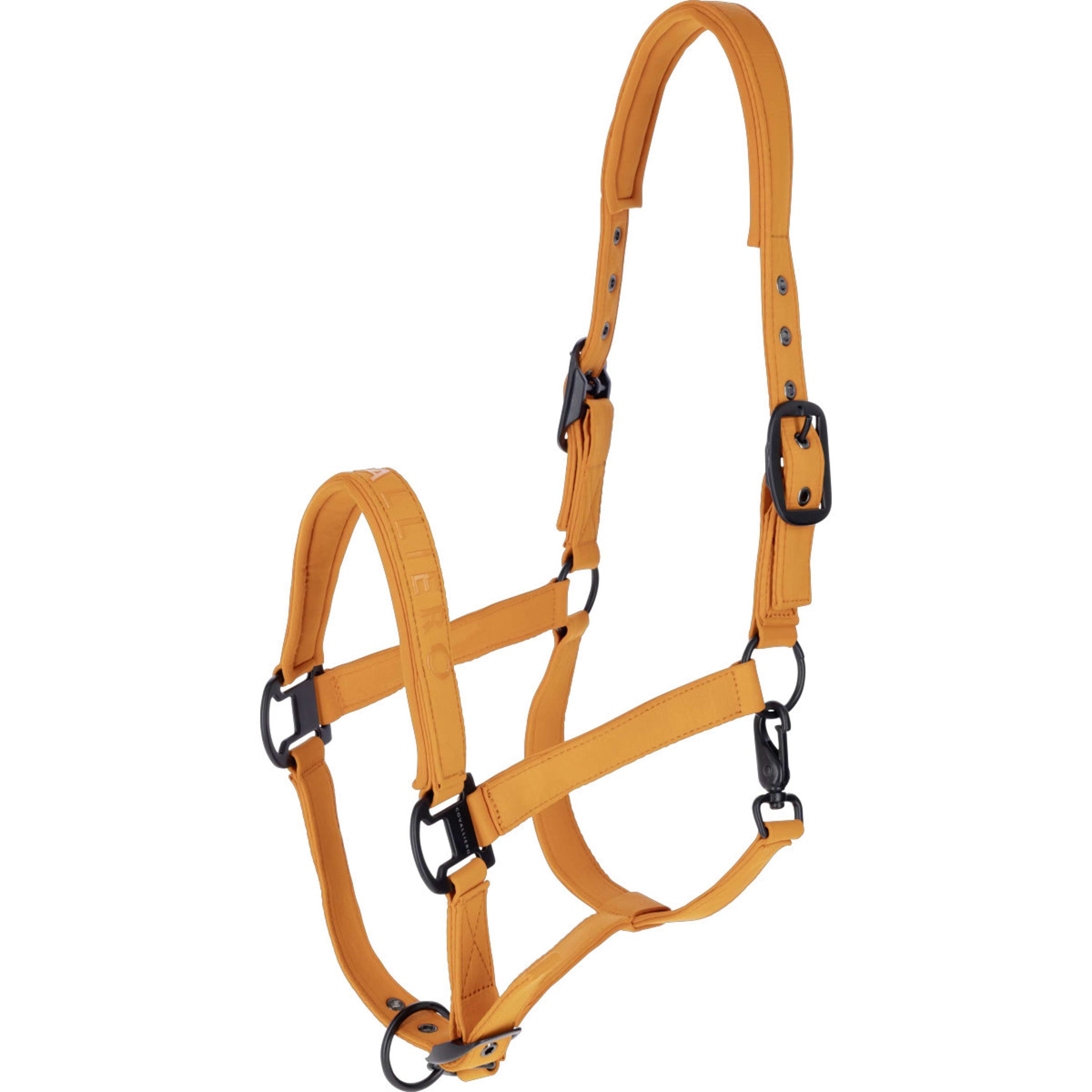 Covalliero Halster AW26 Oranje