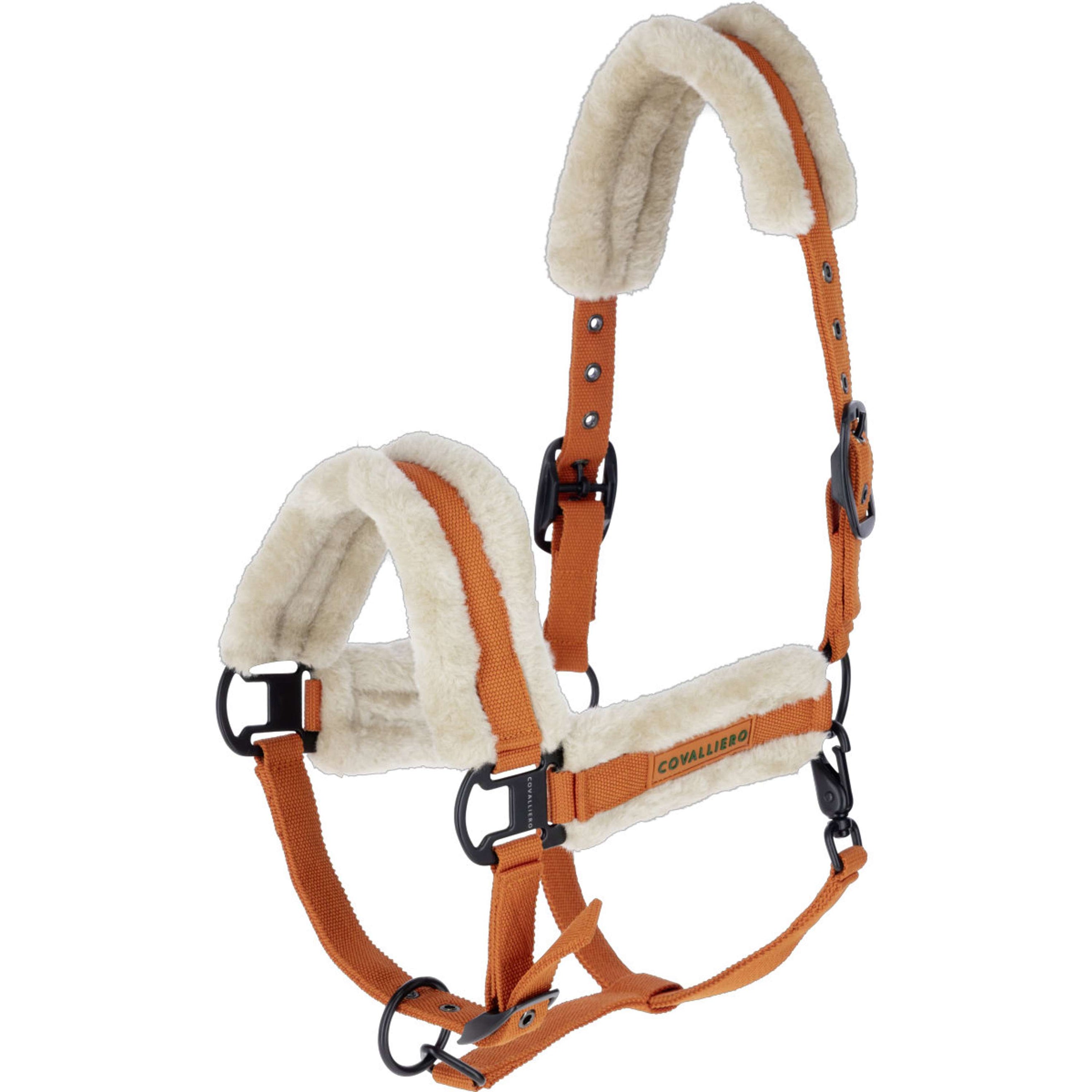 Covalliero Halster Soft AW26 Oranje