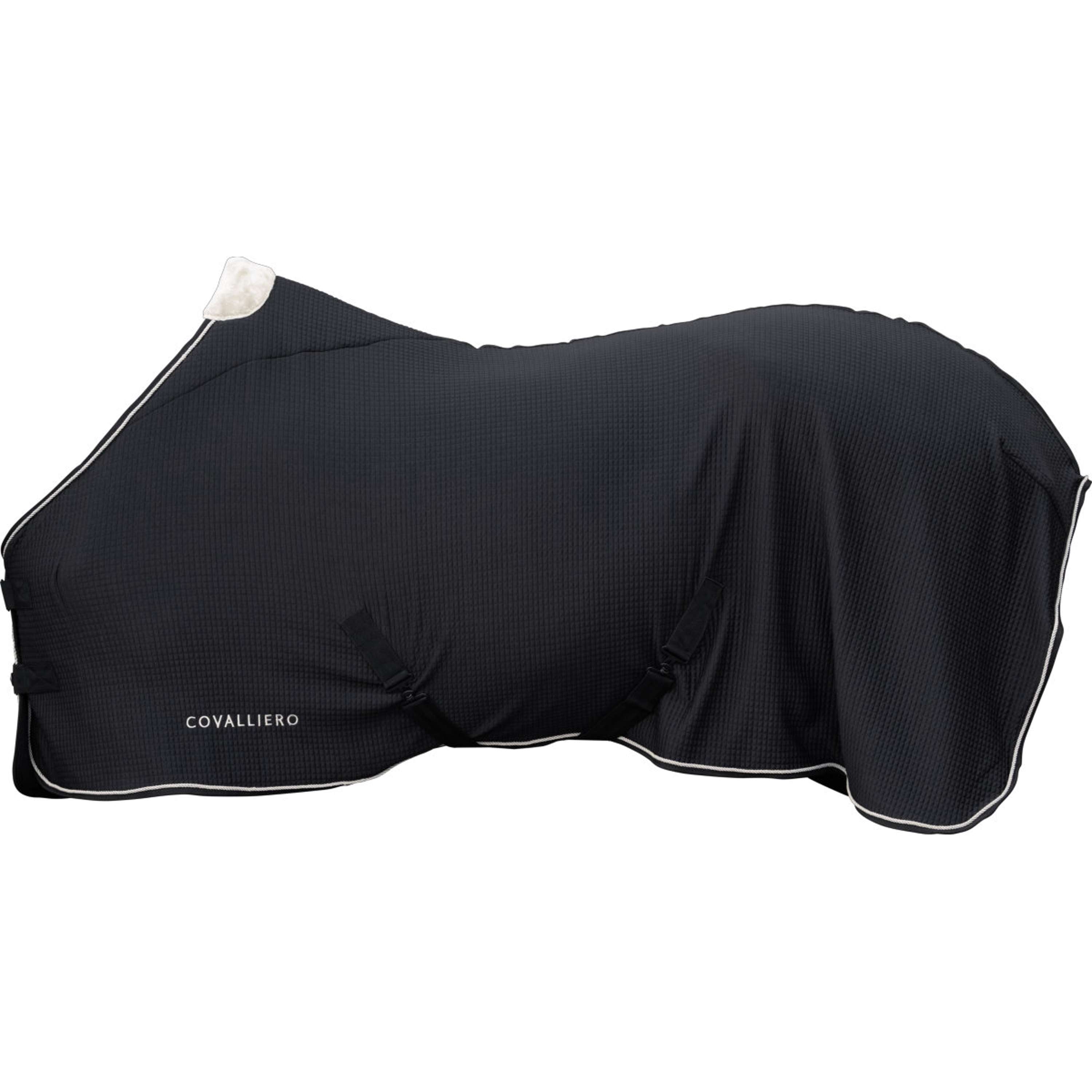 Covalliero Zweetdeken Premium AW26 Zwart