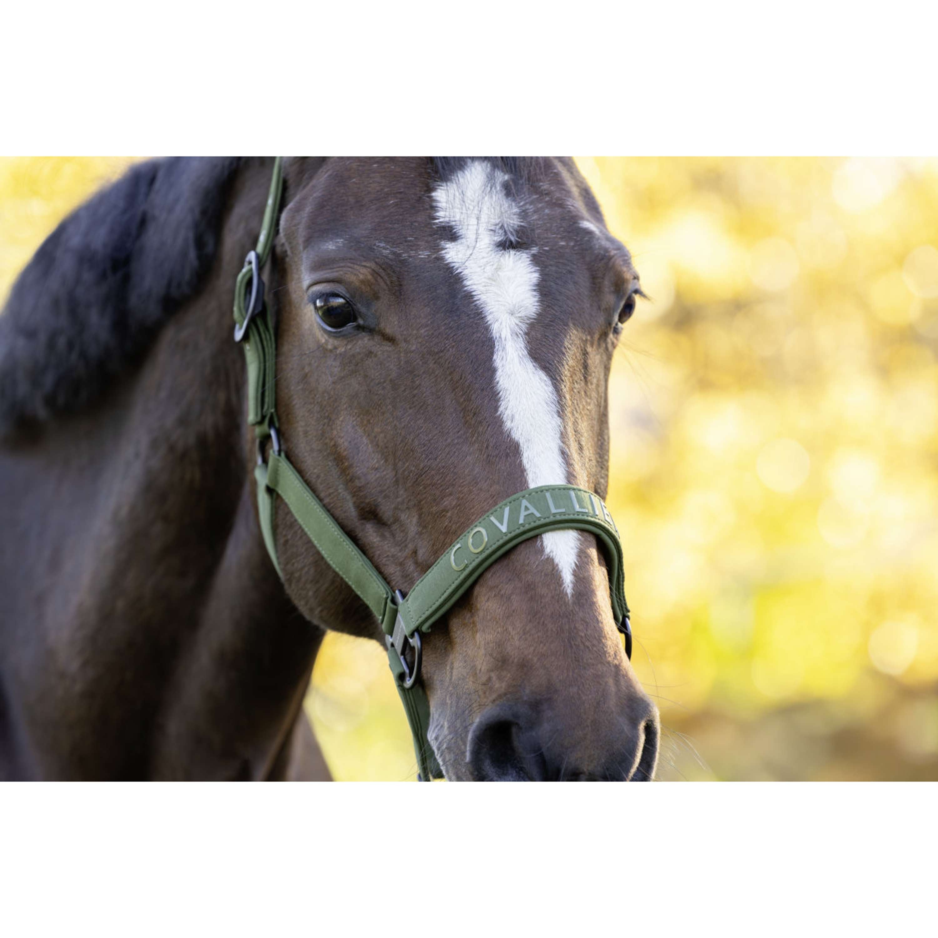 Covalliero Halster AW26 Forest Green