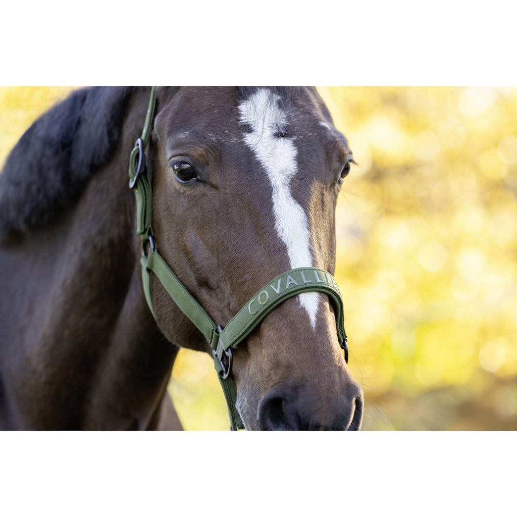 Covalliero Halster AW26 Forest Green