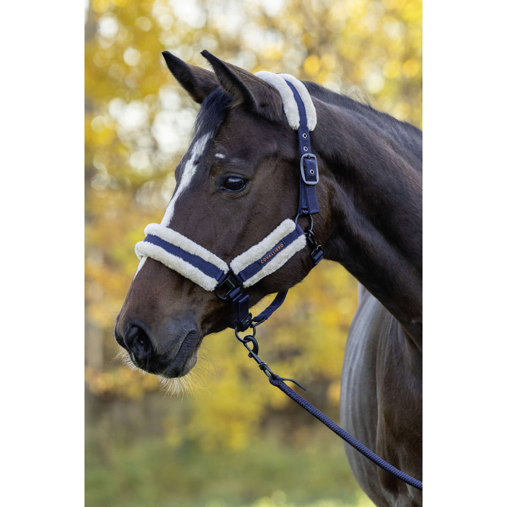 Covalliero Halster Soft AW26 Dark Navy