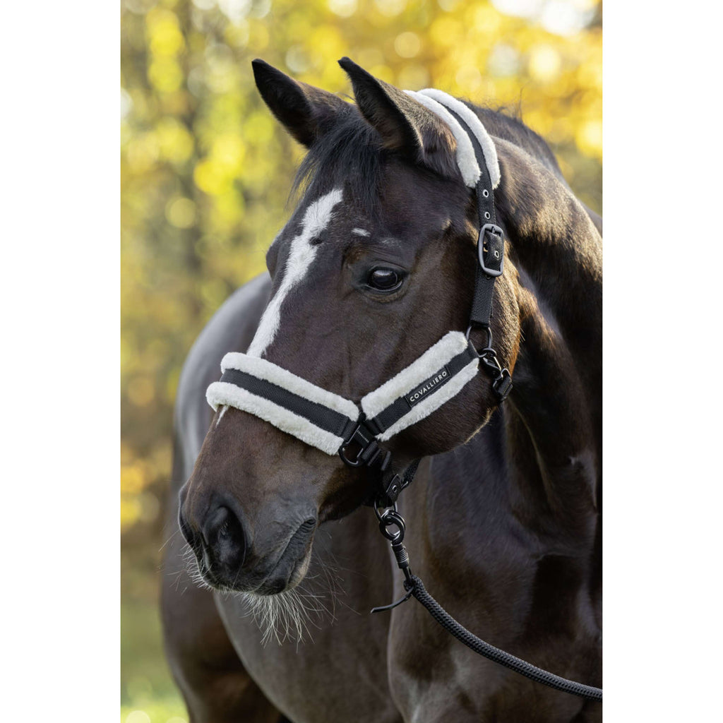 Covalliero Halster Soft AW26 Zwart