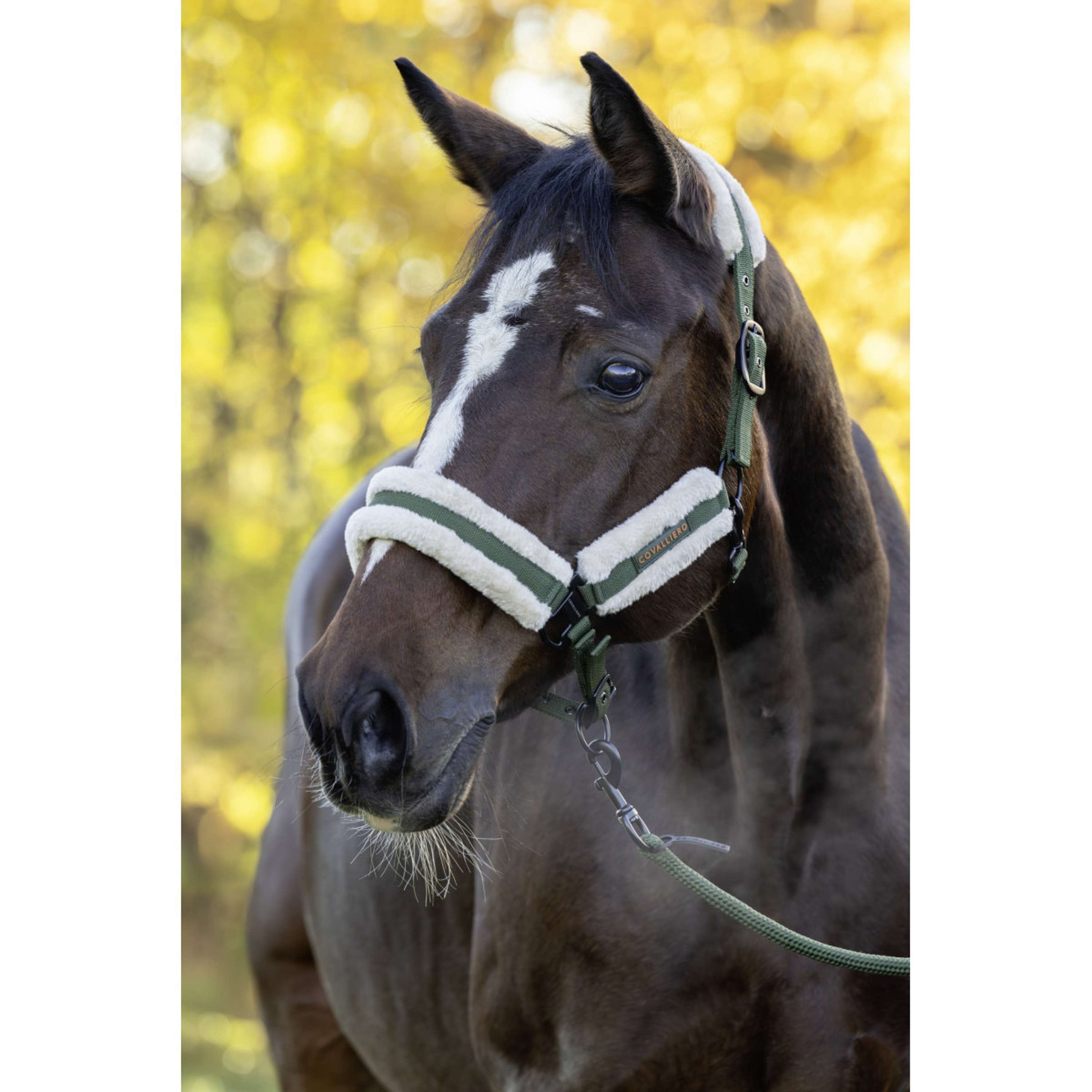 Covalliero Halster Soft AW26 Forest Green