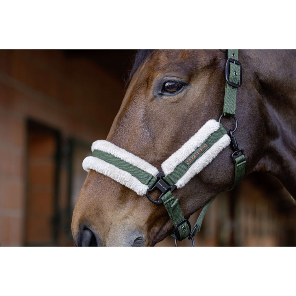 Covalliero Halster Soft AW26 Forest Green