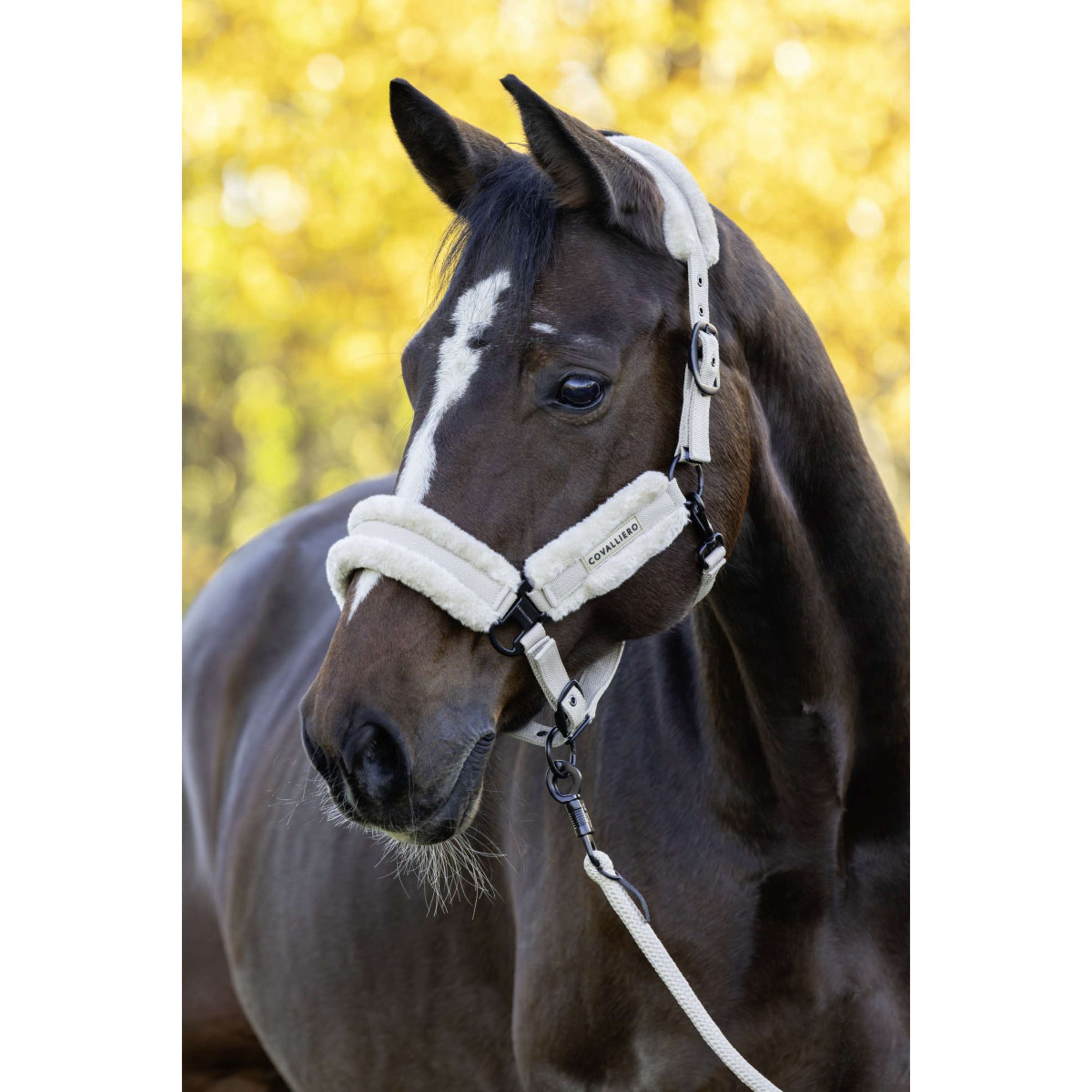Covalliero Halster Soft AW26 Beige Covalliero Halster Soft AW26 Beige